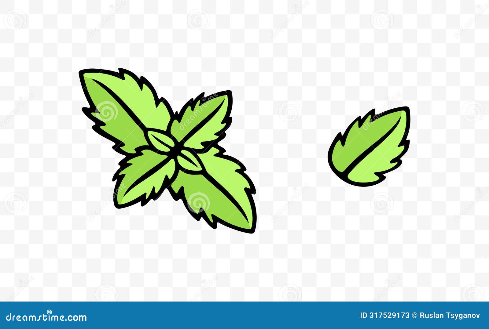 mint and spearmint, herb, mint leaves, graphic 
