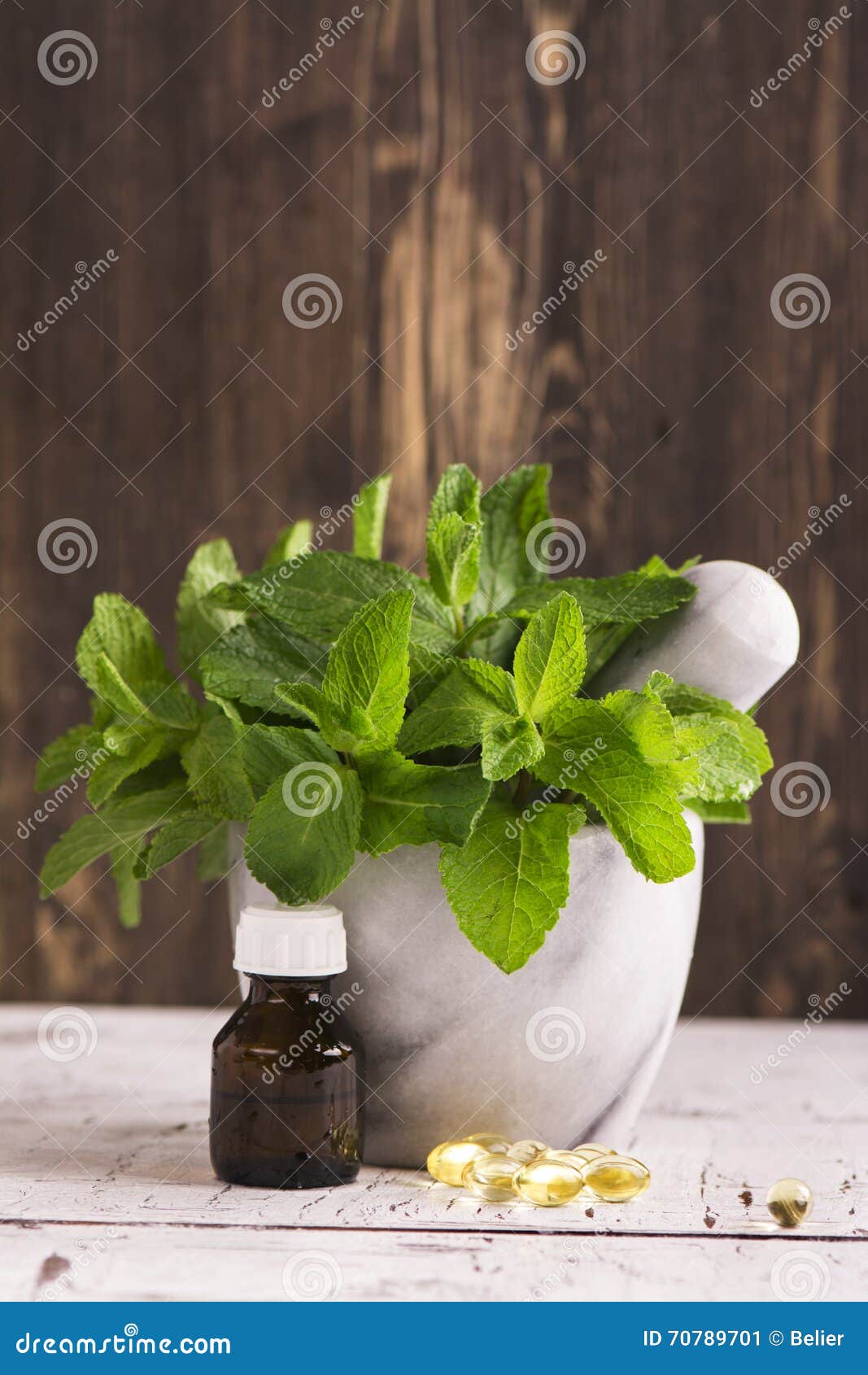 mint sprigs mint sprigs