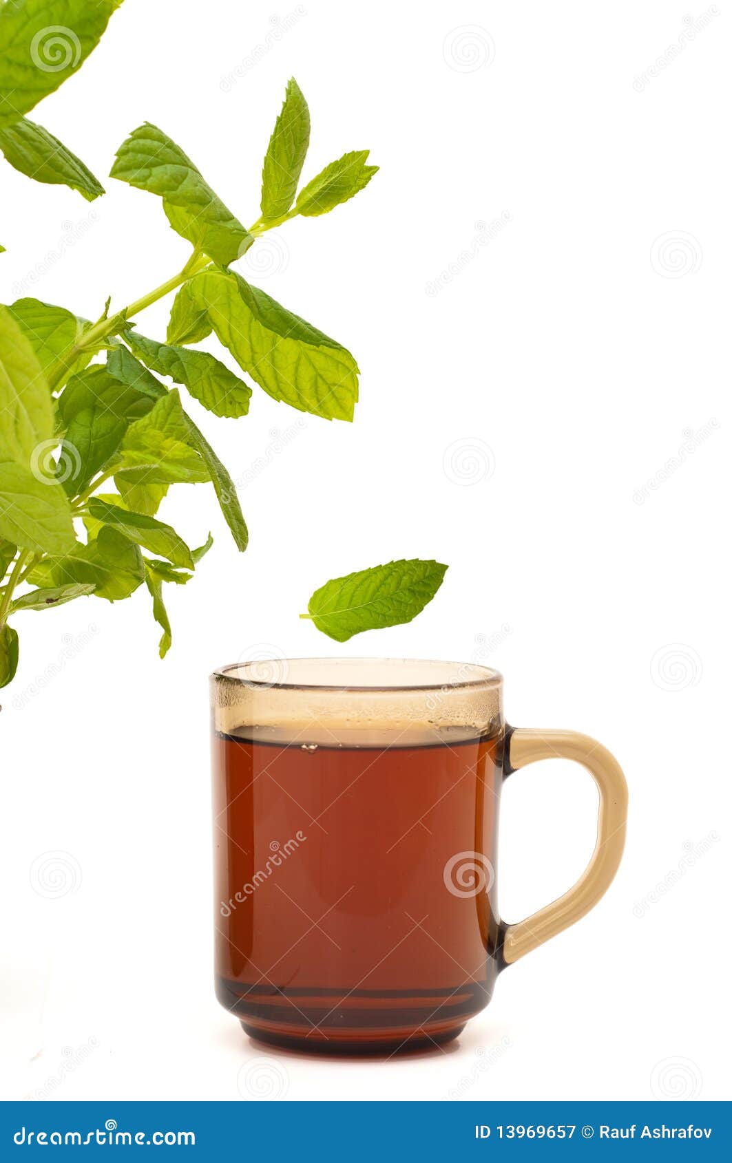 Mint tea stock image. Image of isolated, beverage, gourmet - 13969657