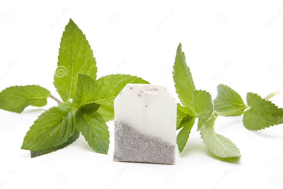 Mint with tea bag stock photo. Image of peppermint, stem 20517854