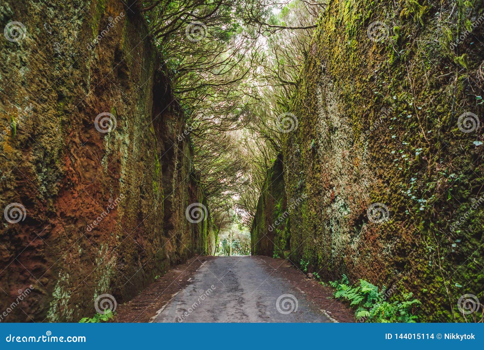 mirador pico del ingles path in anaga rural park