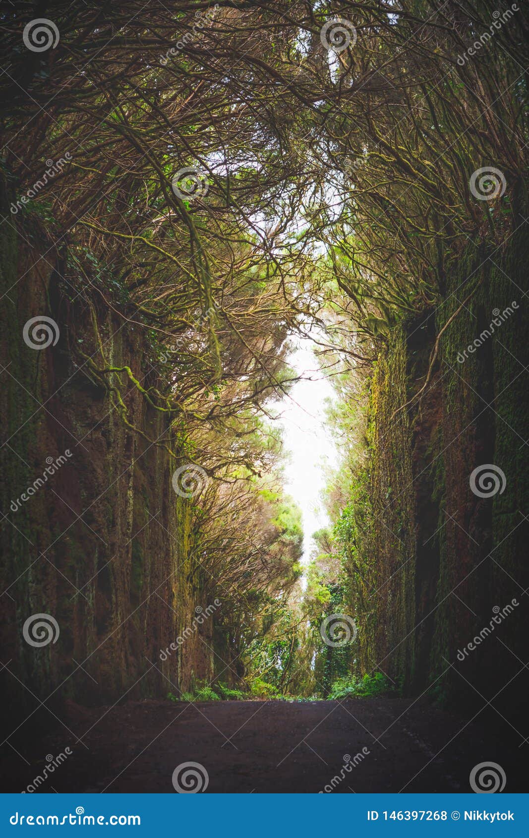 mirador pico del ingles path in anaga rural park