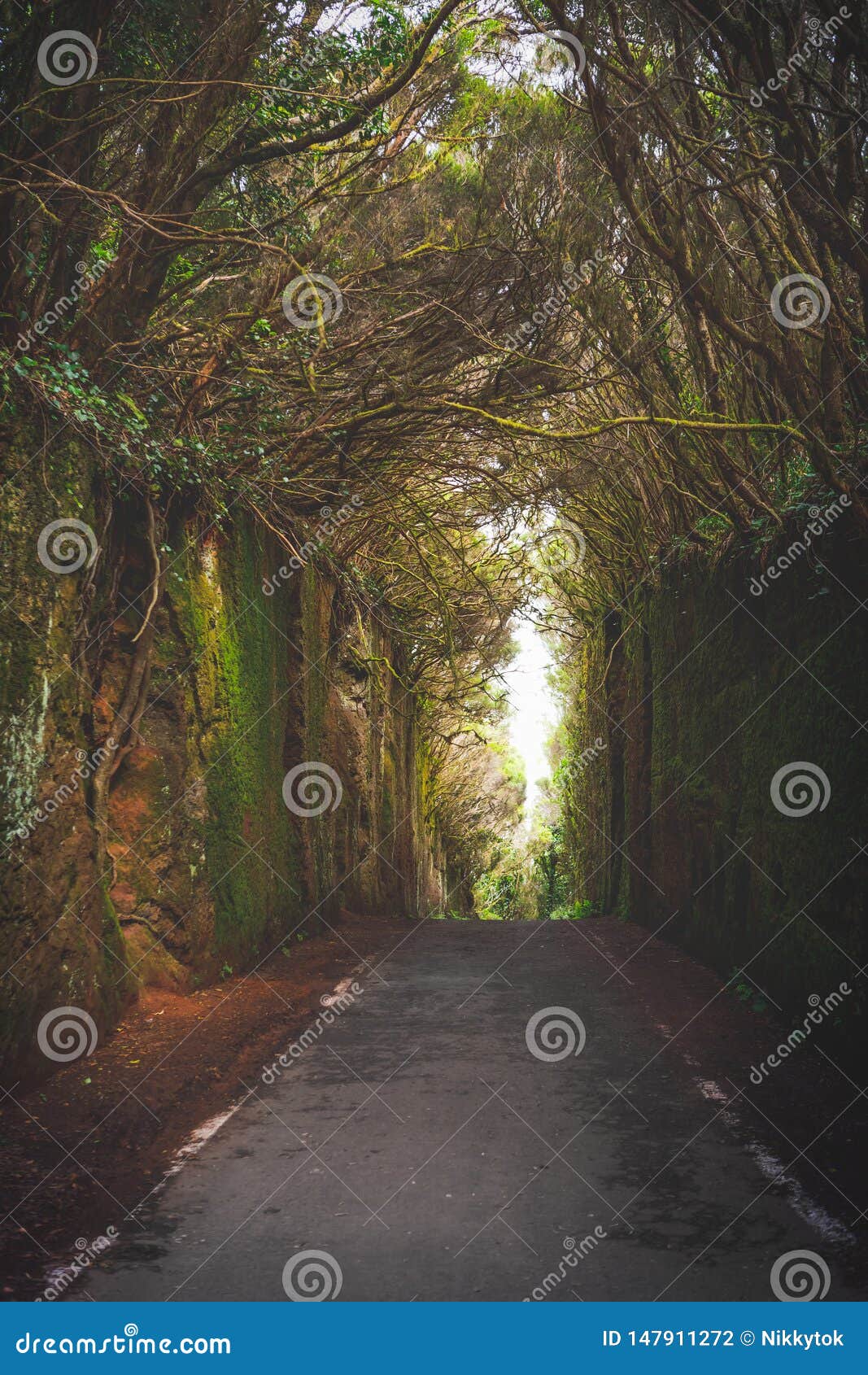 mirador pico del ingles path in anaga rural park