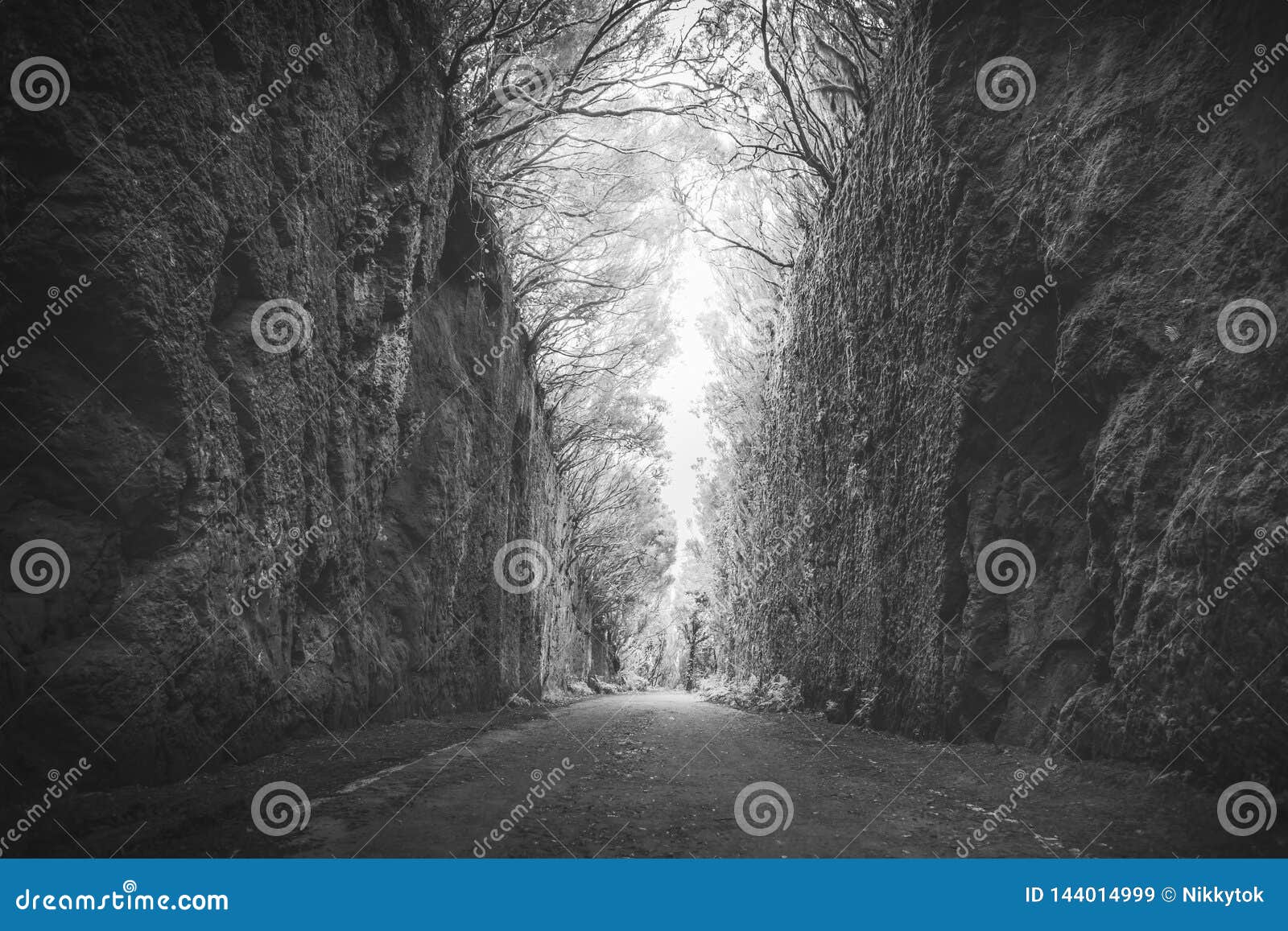 mirador pico del ingles path in anaga rural park, monochrome