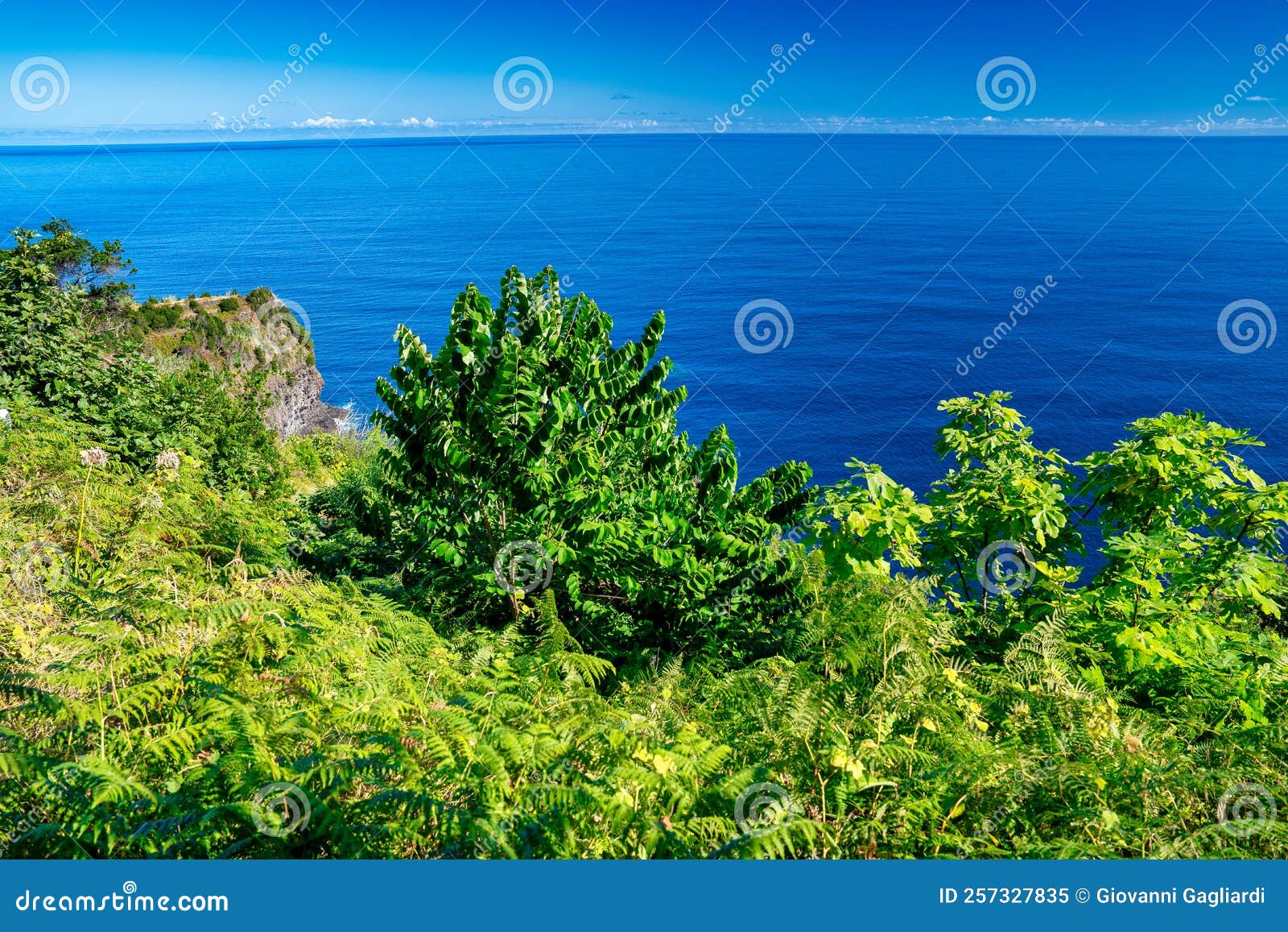 Miradouro Do Veu Da Noiva in Madeira Island, Portugal Stock Image