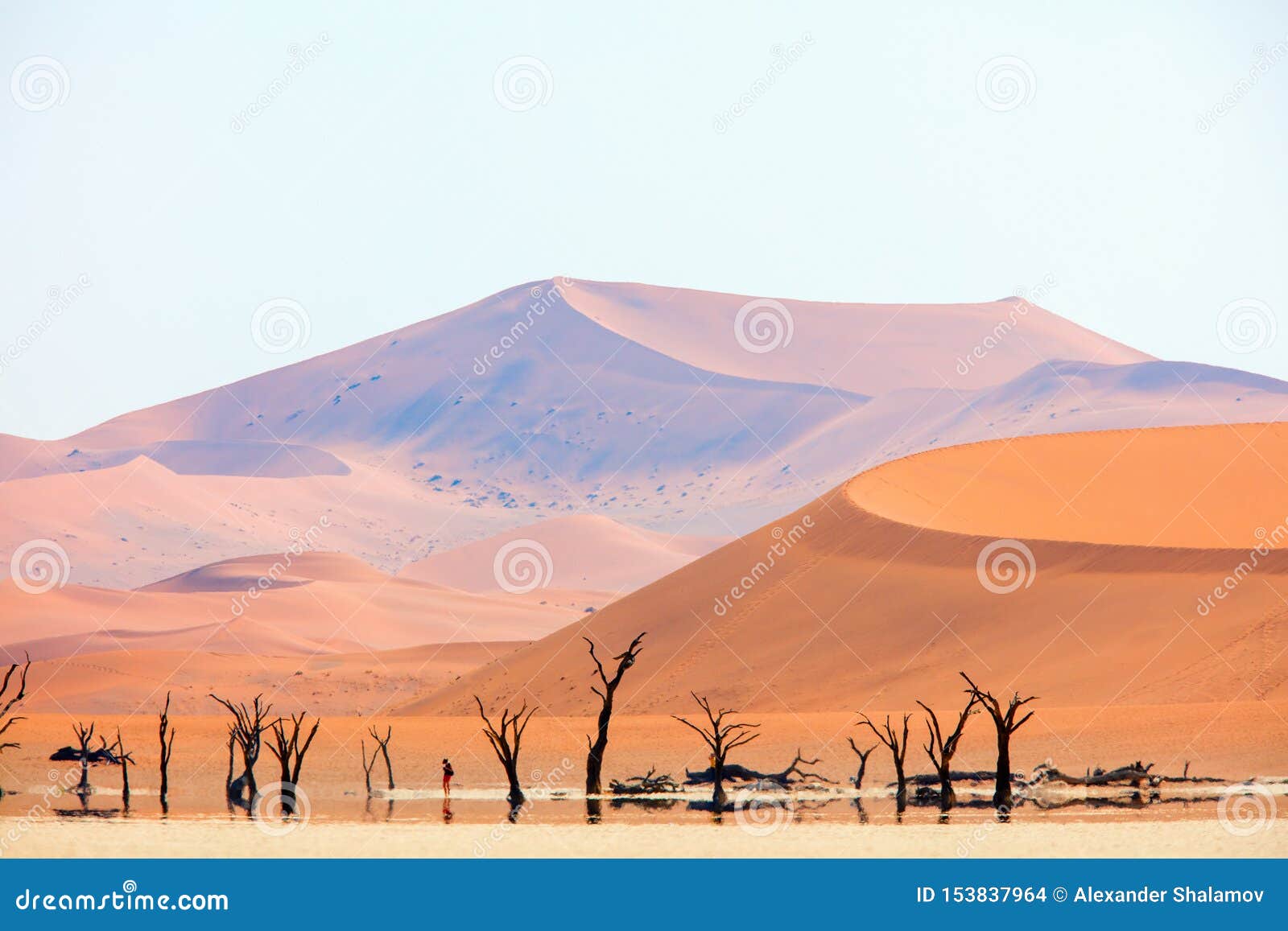desert x mirage desert x mirage