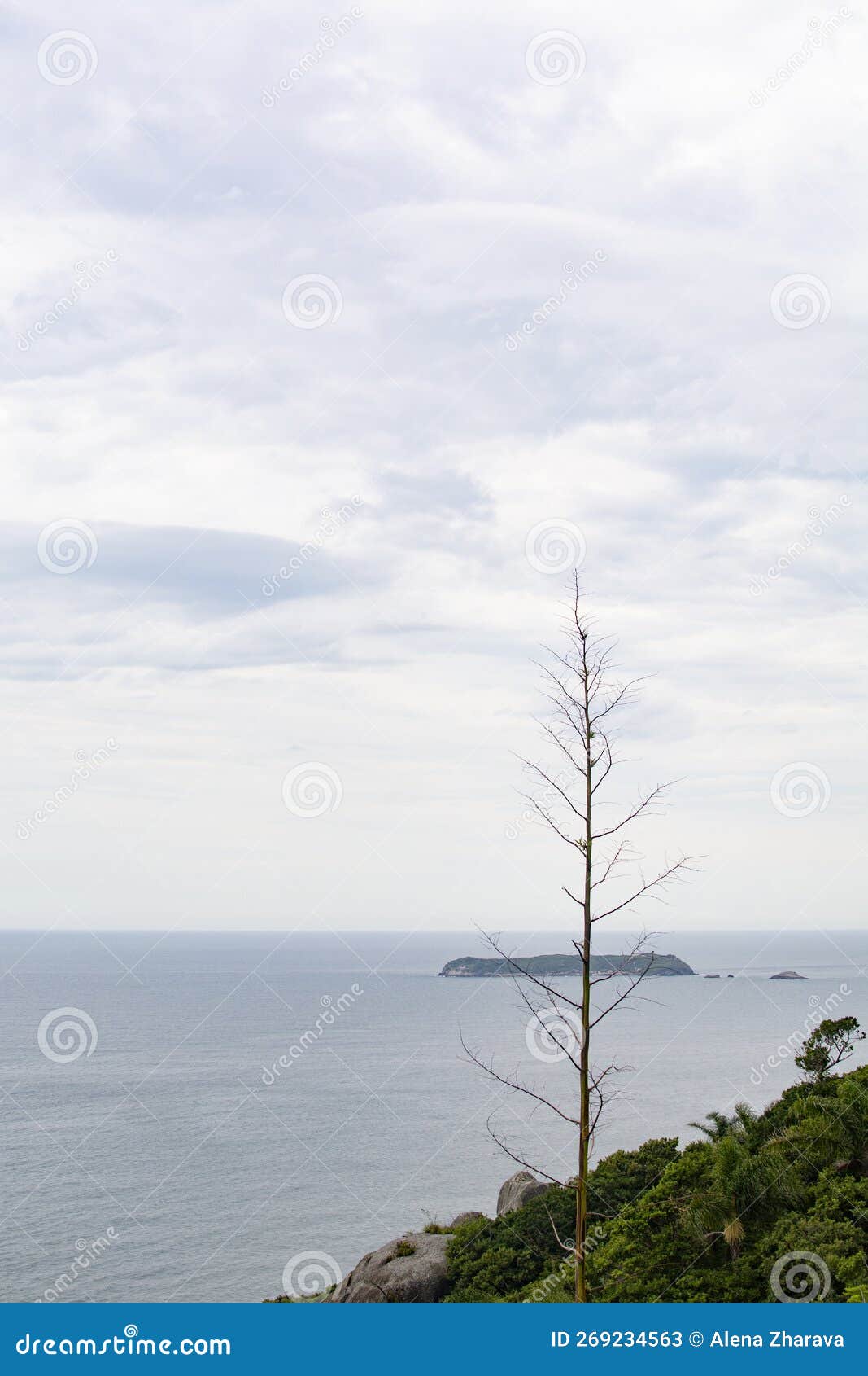 mirante direito da ponta da galheta, santa catarina, brazil