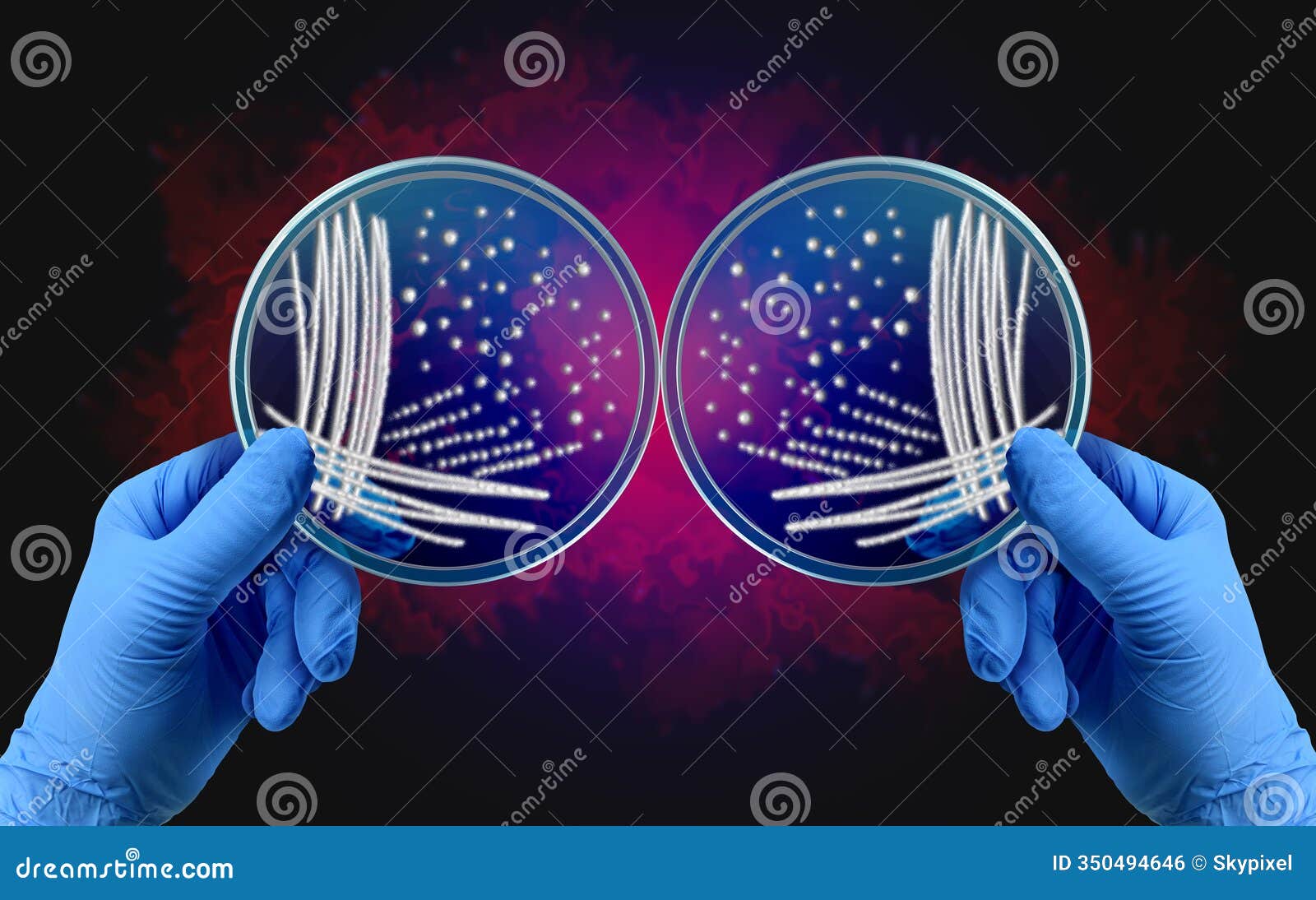 mirror bacteria concept
