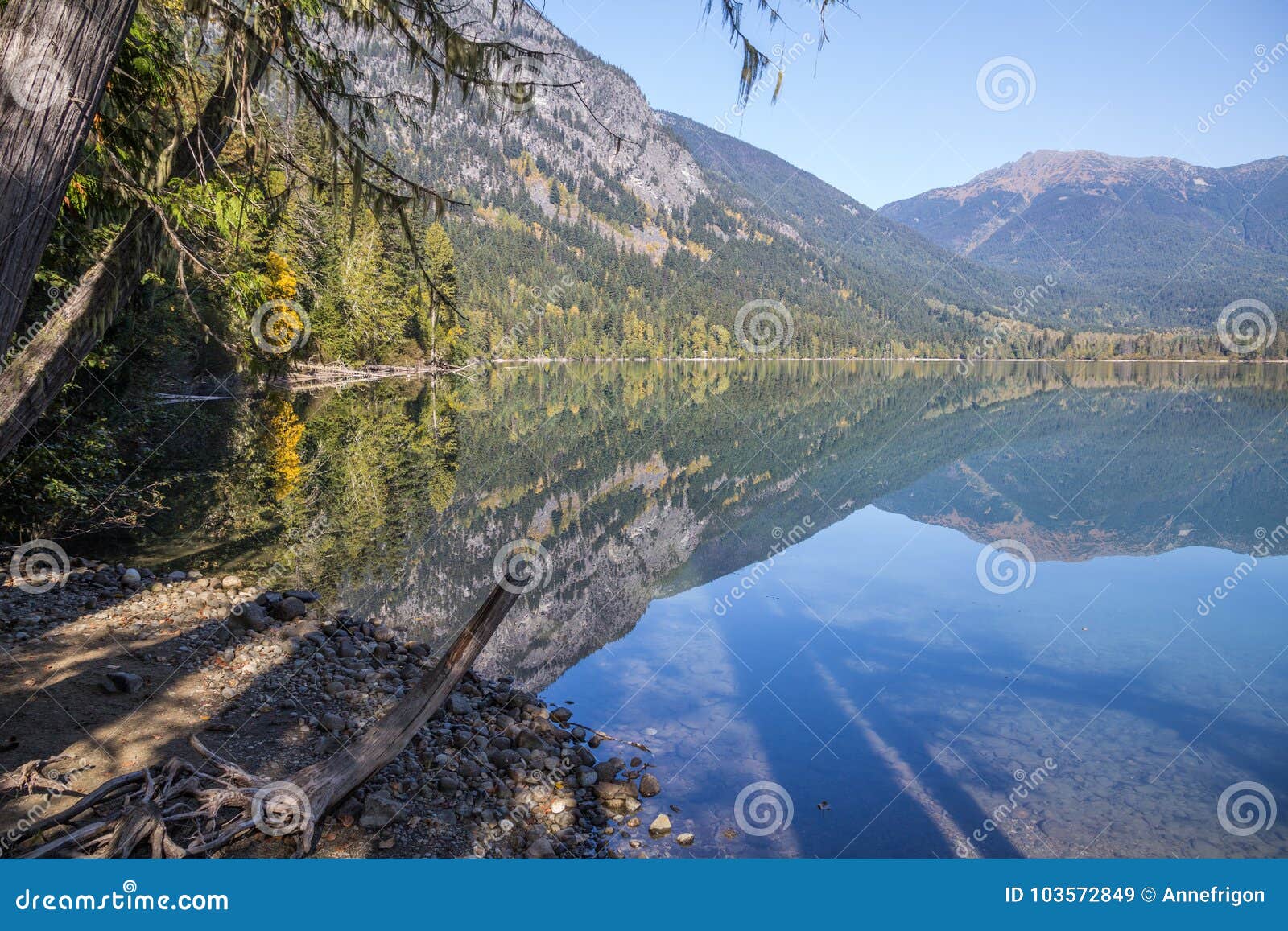 mirror-like reflections showing birkenhead lake, bc in fall colours