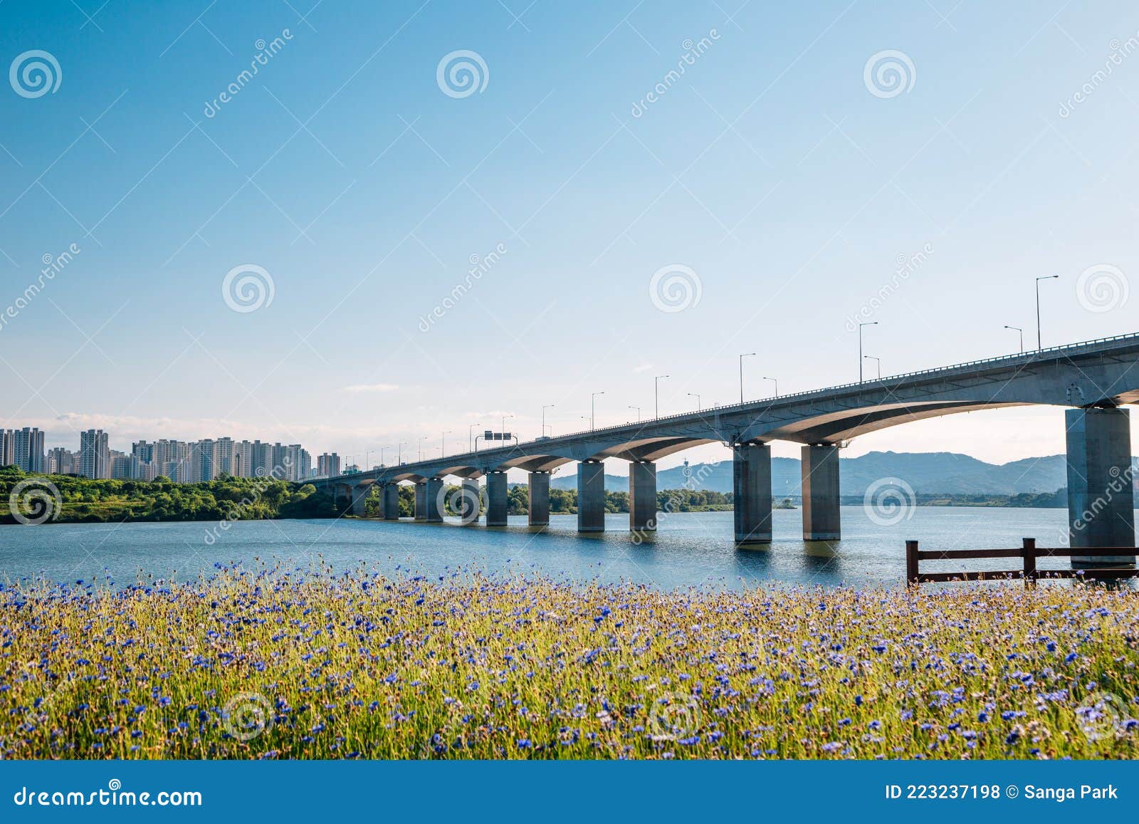 misa bridge and namyangju hangang river park sampae district at spring in korea