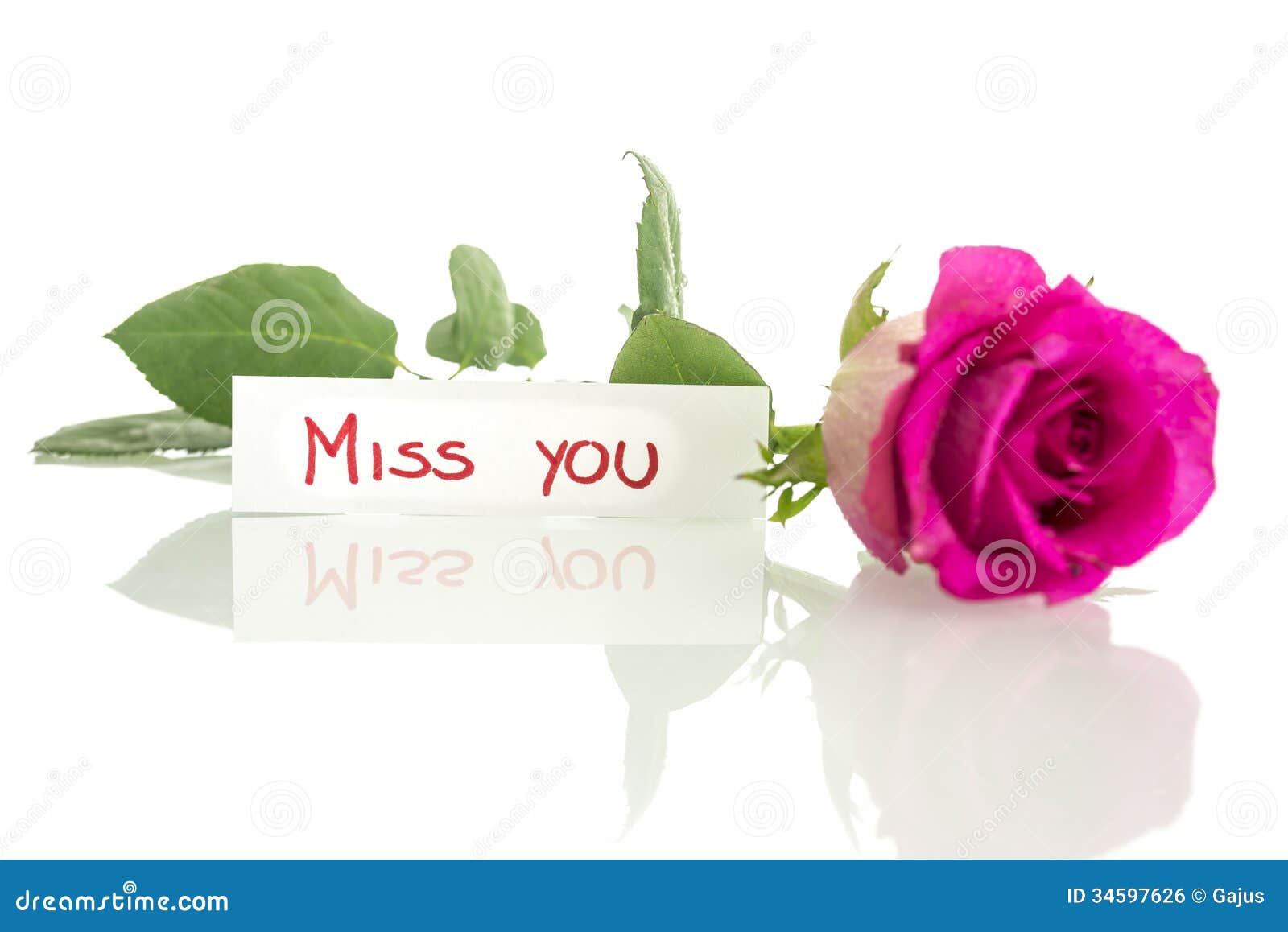 Miss you message stock photo. Image of rose, card, romantic - 34597626