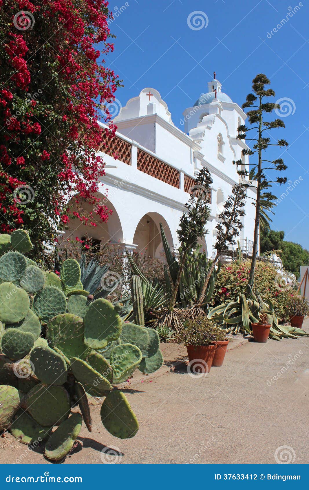 mission san luis rey