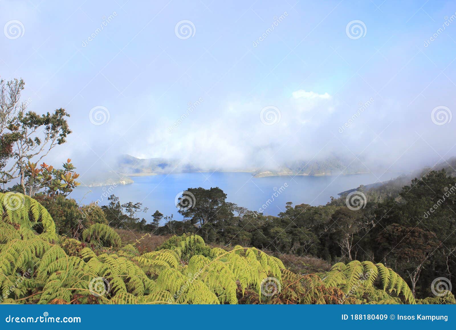 anggi gida lake, arfak mountains, papua