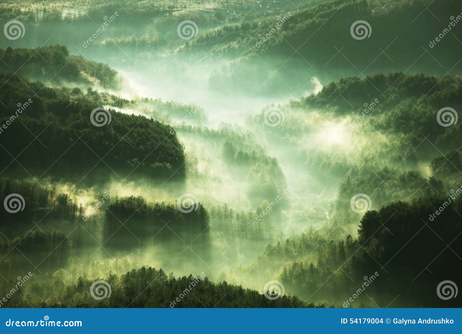 Mist in forest stock photo. Image of wilderness, quiet 54179004
