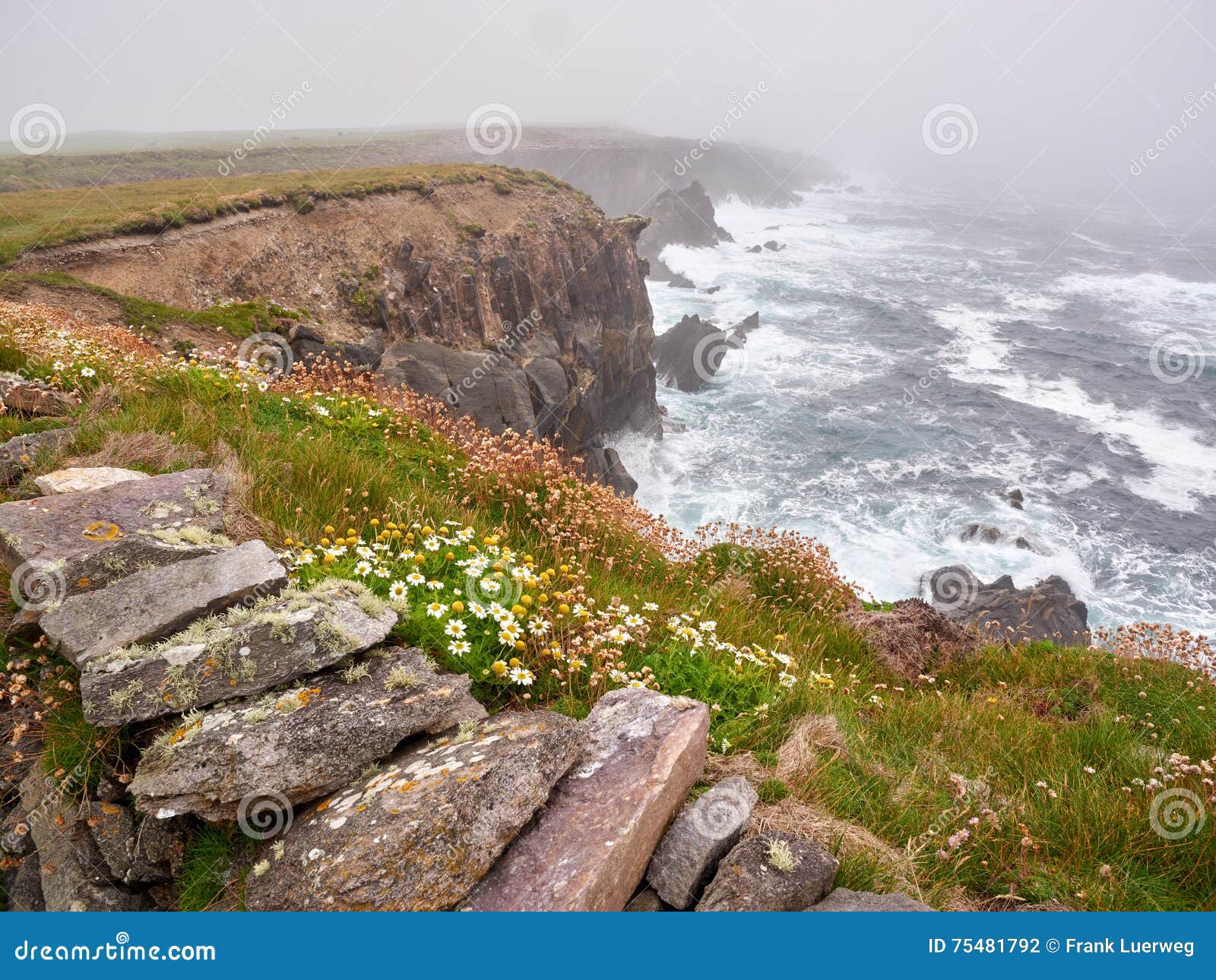 Mistige dag bij het overzees. Mistige dag bij Clogher-strand, Dingle, Ierland