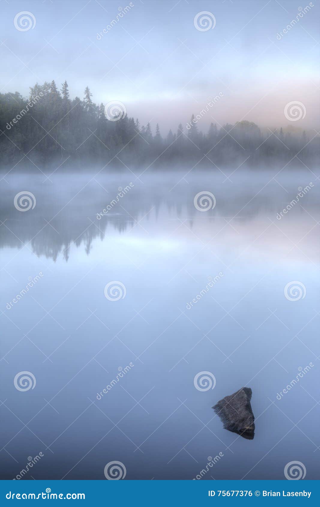 Misty Dawn on a Lake in Ontario, Canada Stock Photo Image of ontario