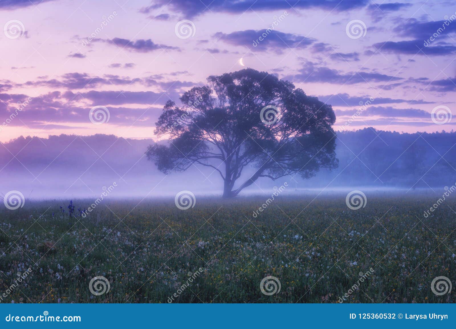 misty flowering valley at dawn, scenic landscape with wild growing flowers, single tree and color cloudy sky