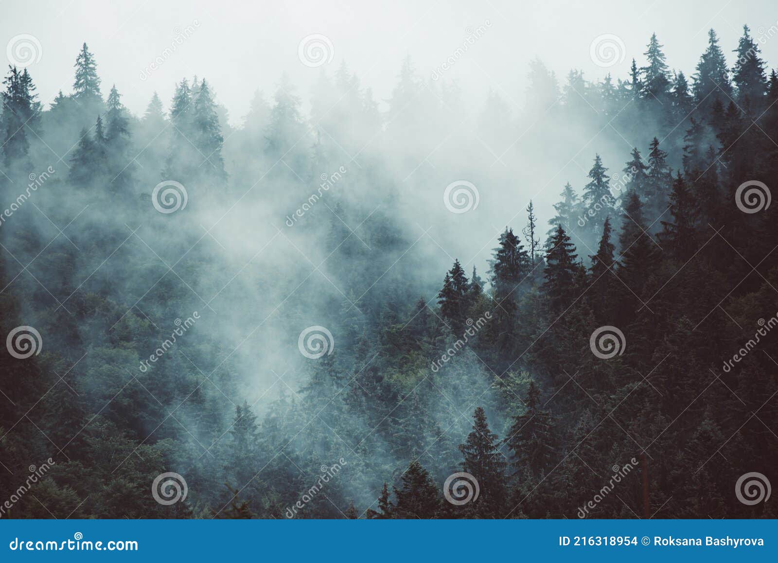 misty mountain landscape