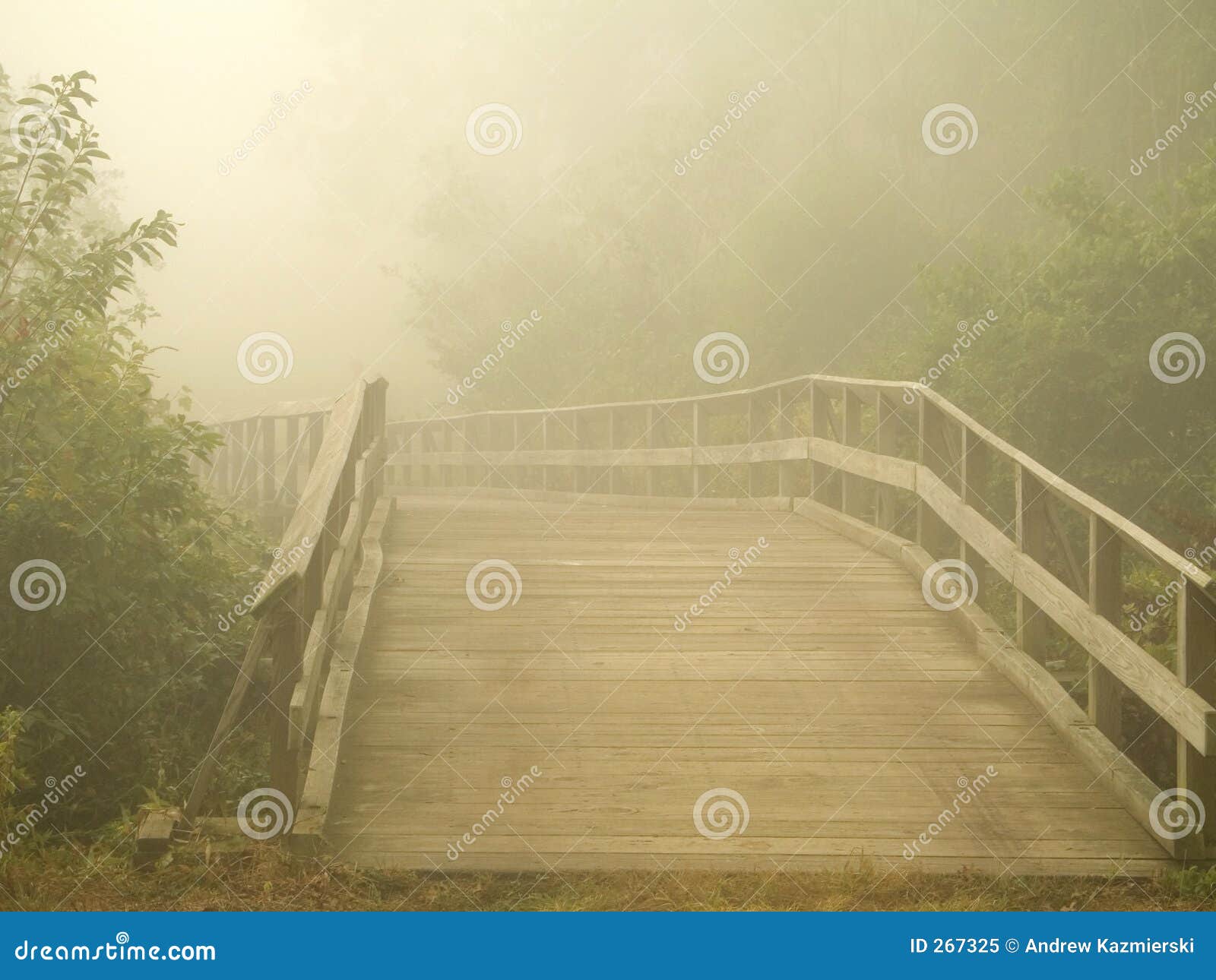 misty footbridge