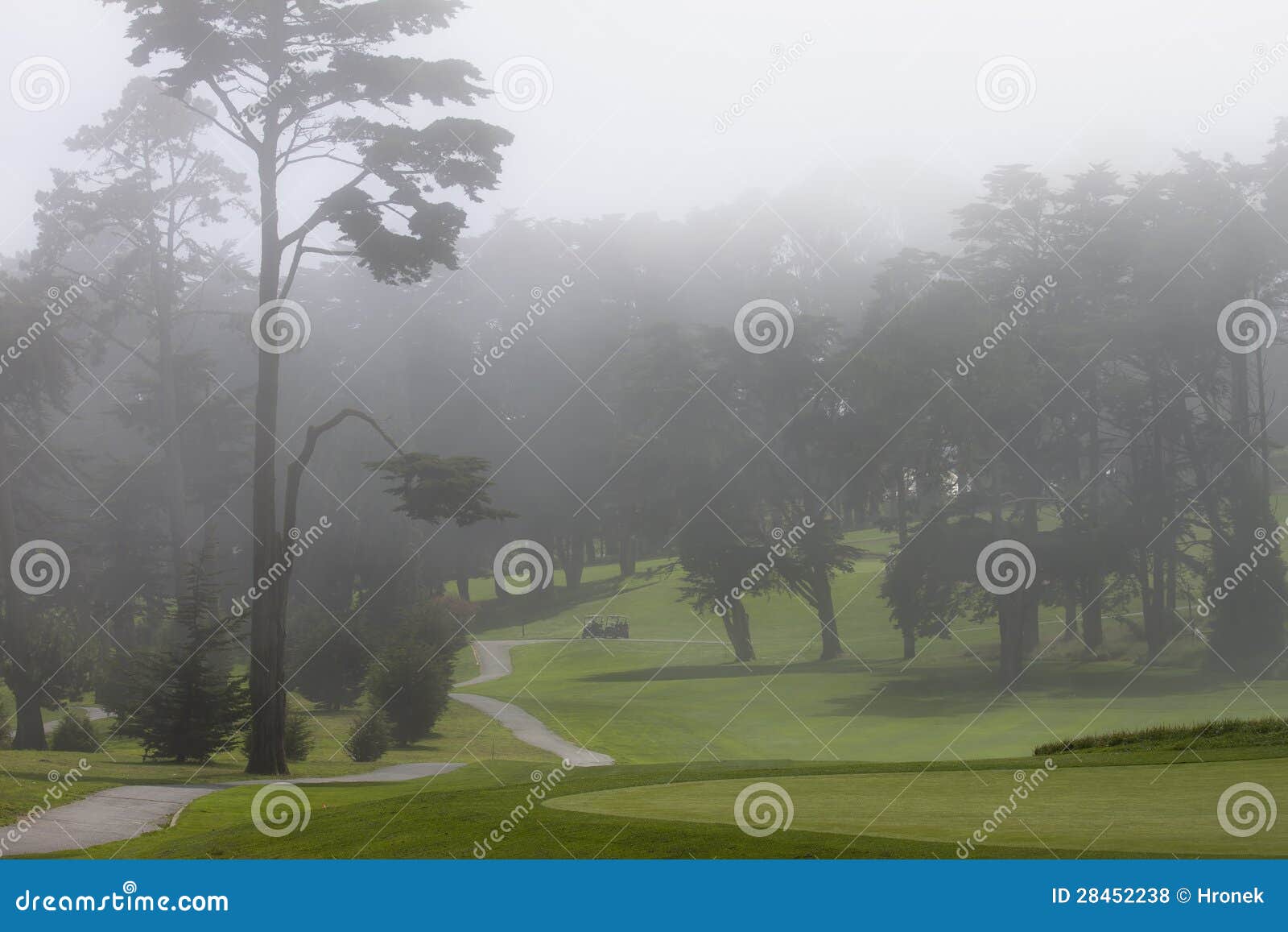 misty golf course