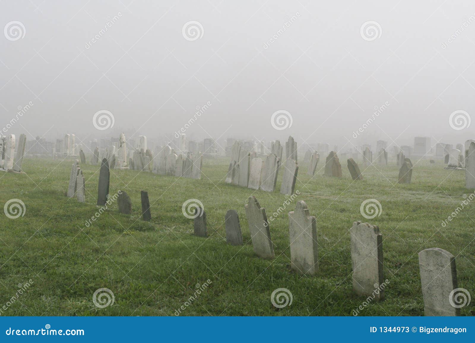 misty graveyard