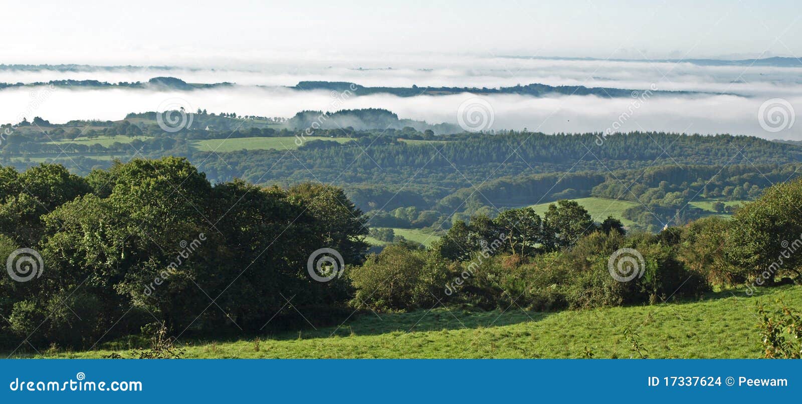 misty morning in the monts d'arree. brittany  france