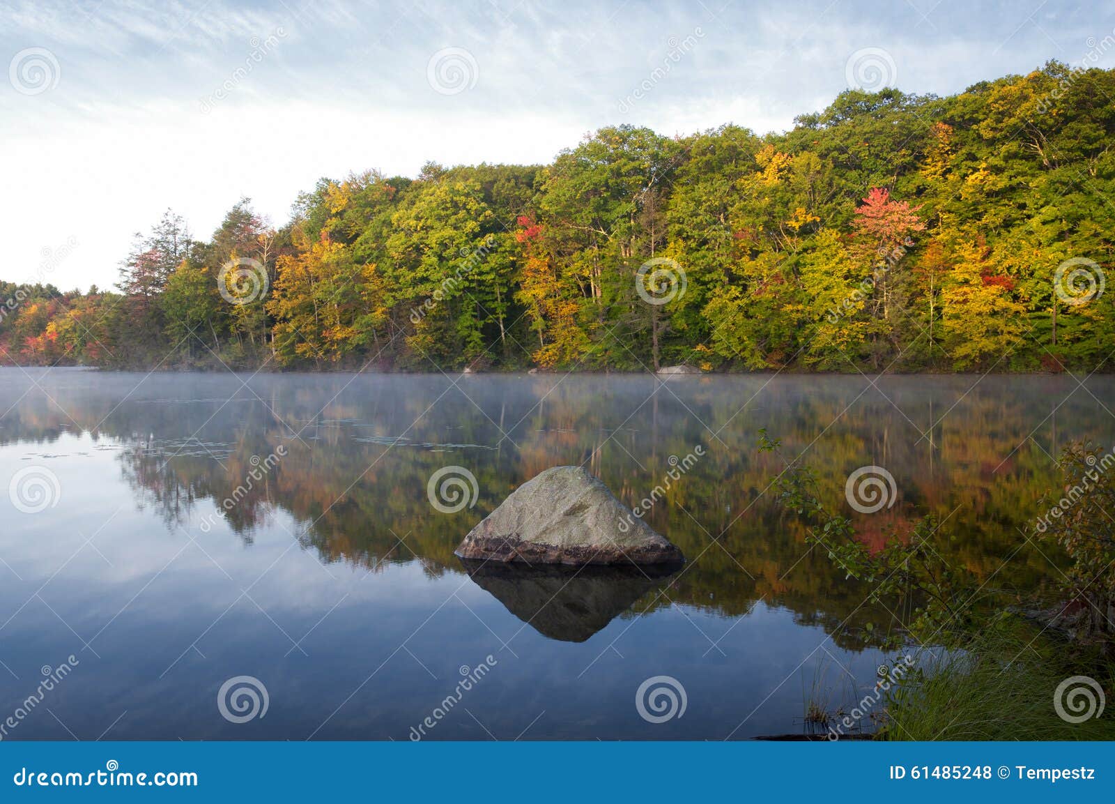 misty morning on burr pond