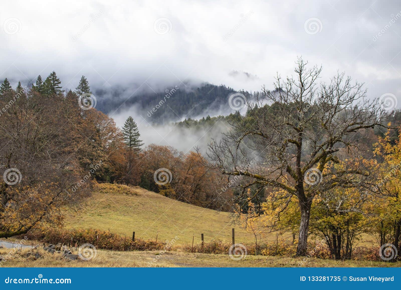 misty mountains - open field and fence with trees and fog on the mountians in the background in autumn