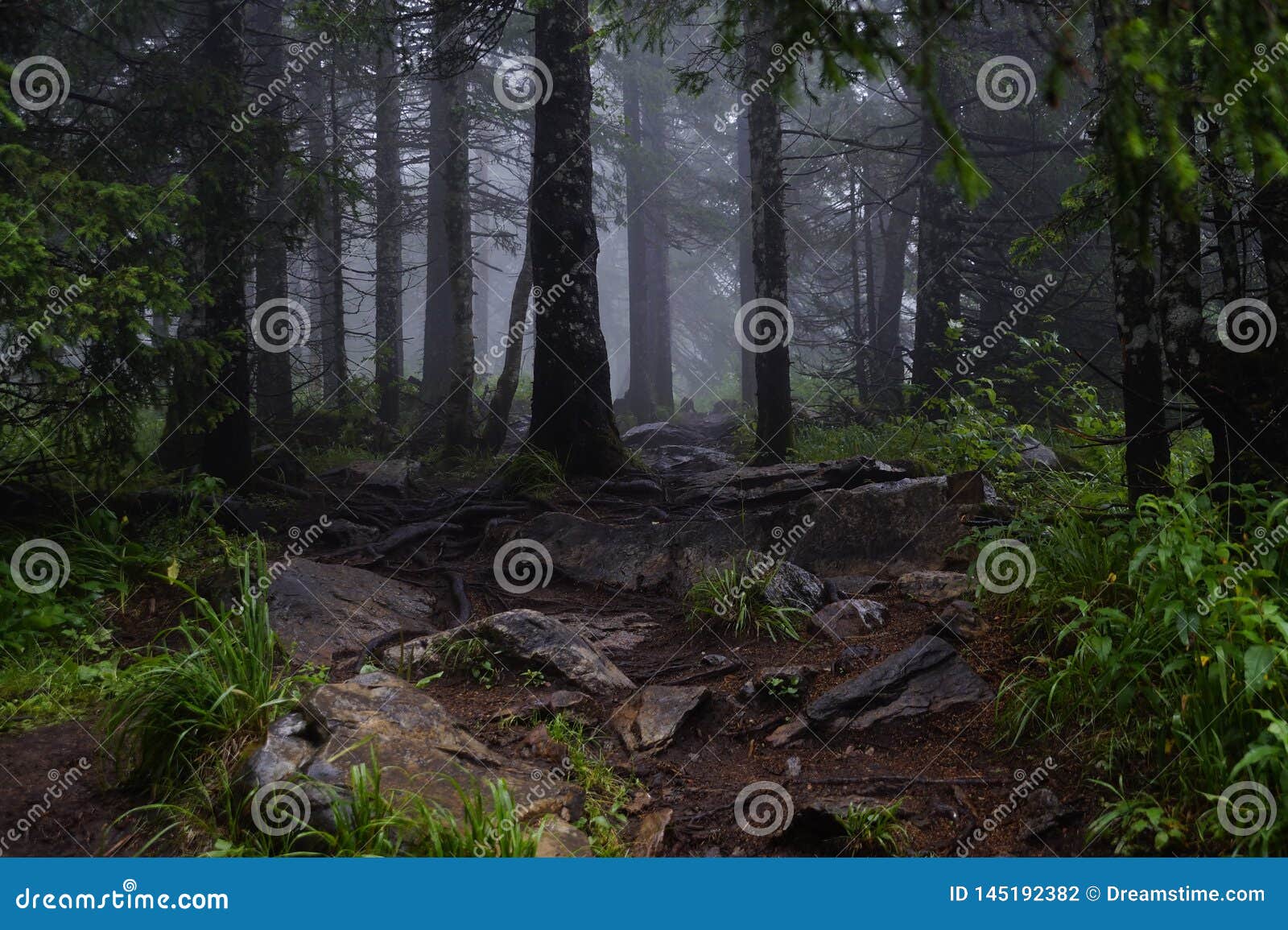 Misty and Mysterious Forest. the Mountain ` Zyuratkul.` Ural. Autumn