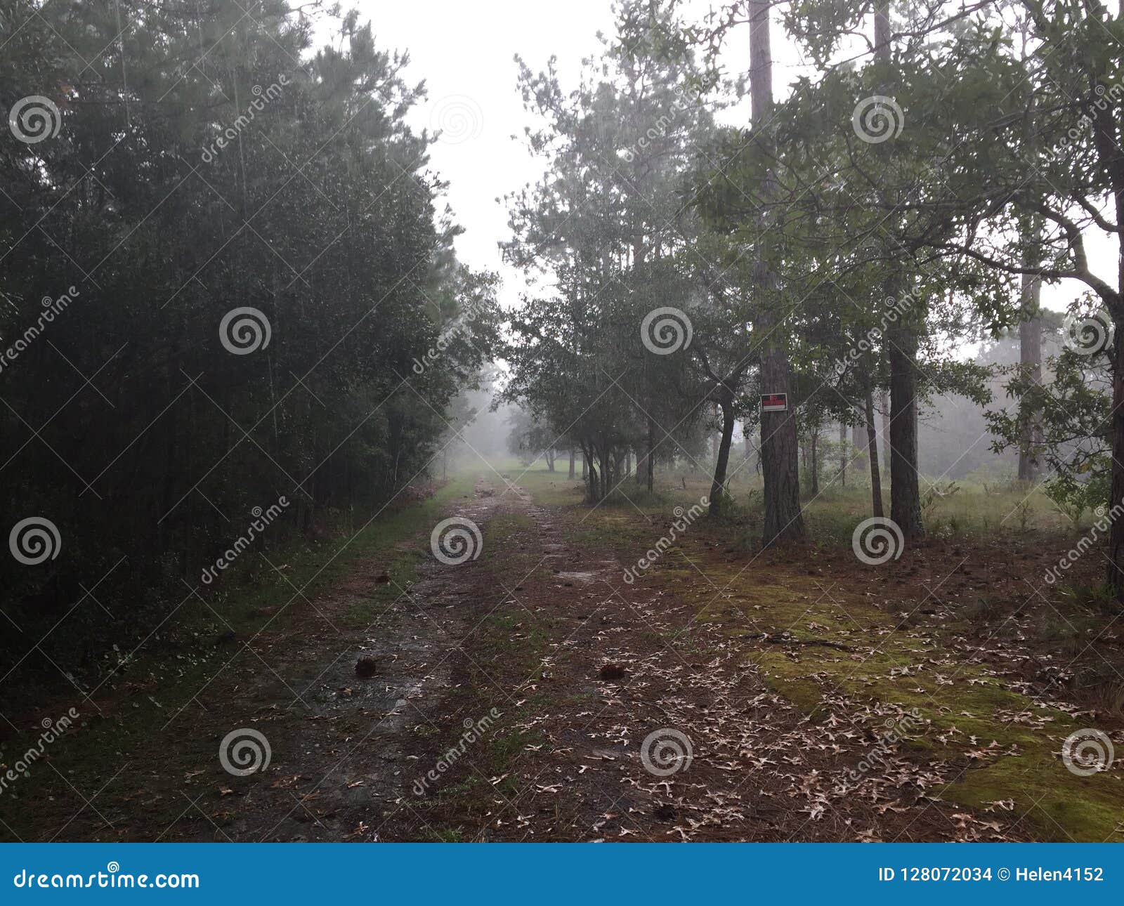Misty Rain Down a Long Path Stock Photo - Image of rain, falling: 128072034