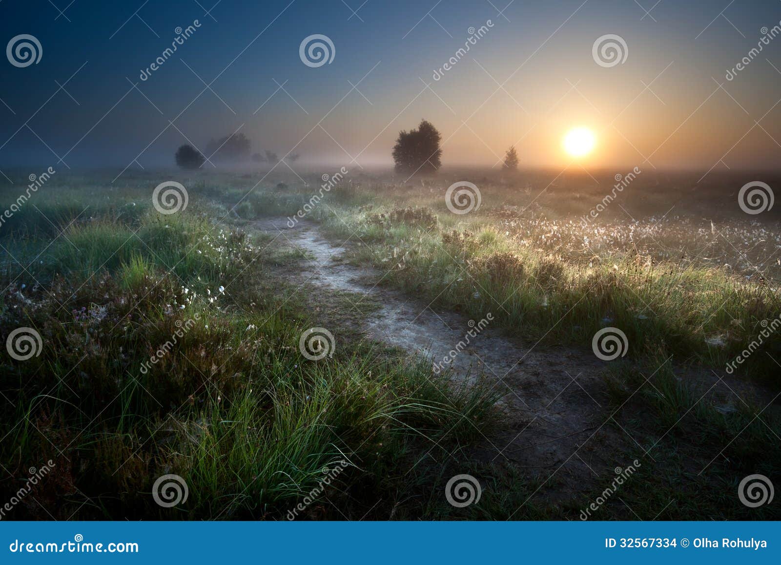 misty sunrise over countryside path