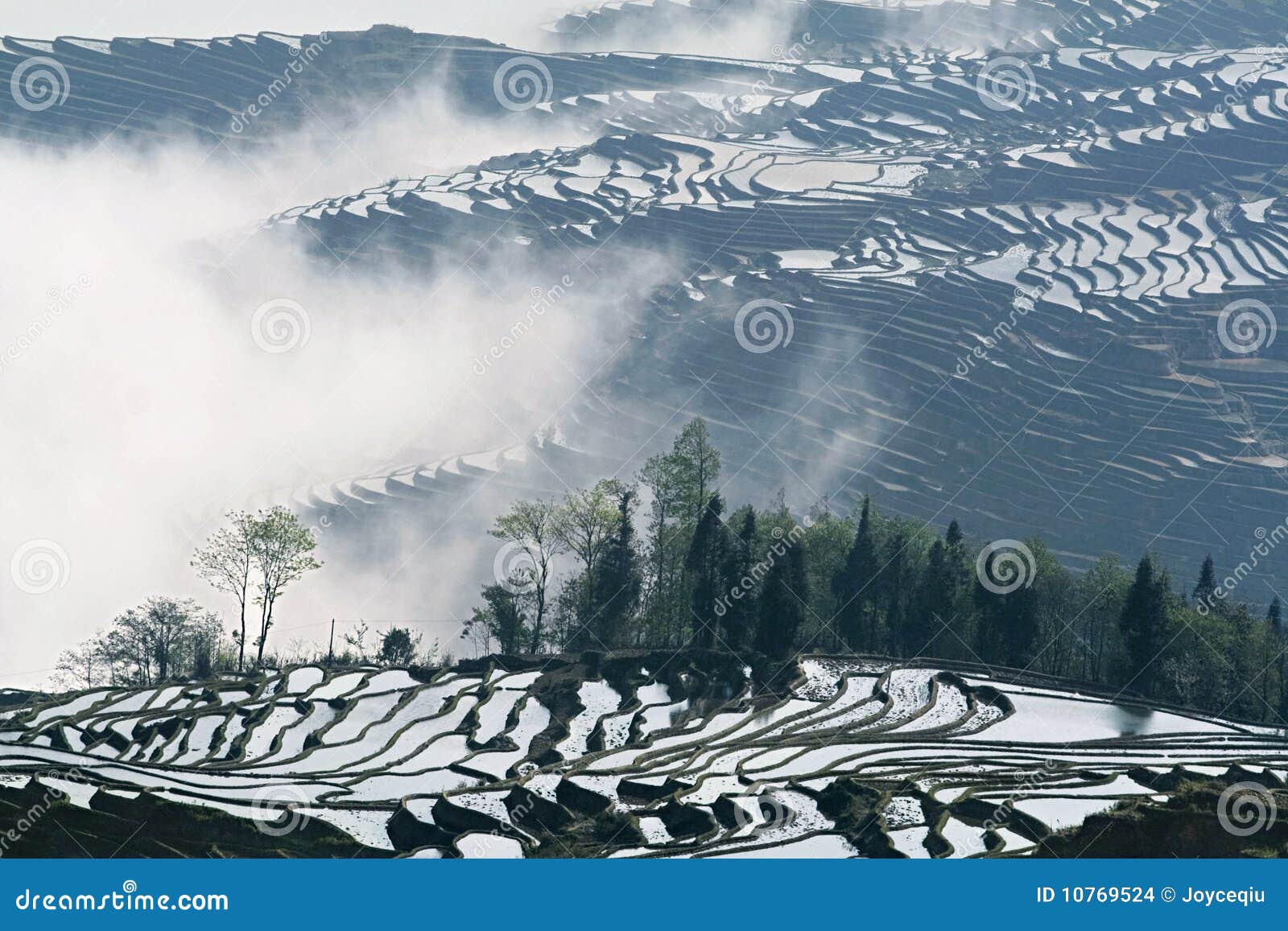 Misty Terrace stock photo. Image of honghe, nature, yunnan 10769524