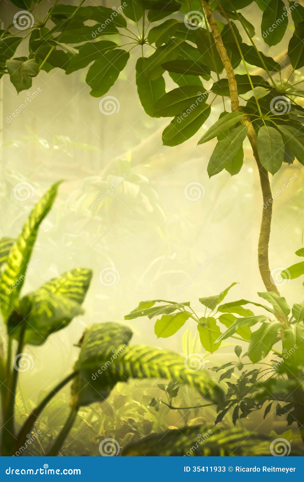 30,838 Jungle Background Scene Stock Photos - Free & Royalty-Free Stock  Photos from Dreamstime