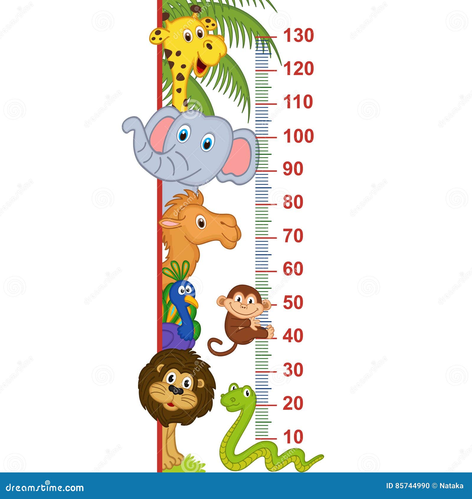 Misura Animale Di Altezza Dello Zoo Illustrazione Vettoriale