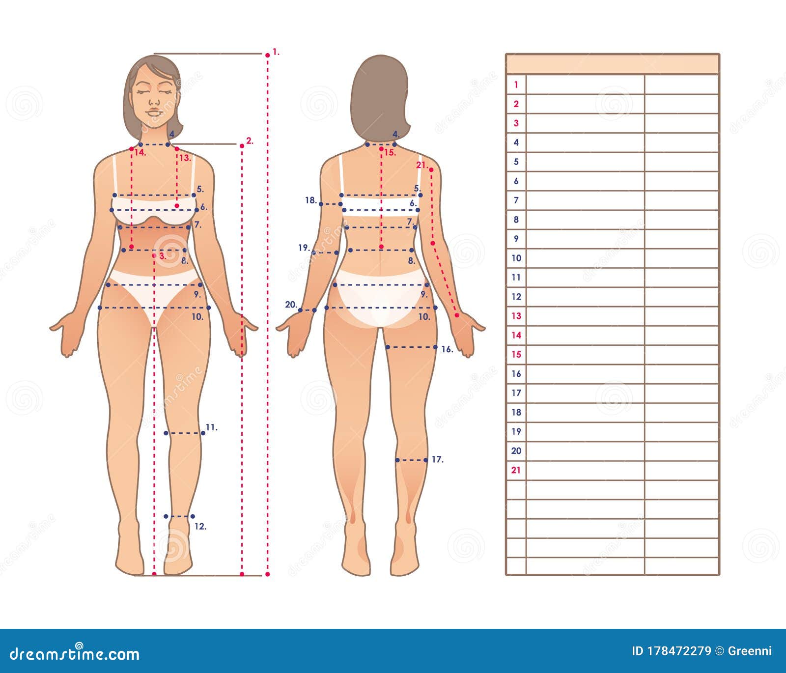 Misurazione Del Corpo Della Donna Schema Di Misura Del Corpo Umano