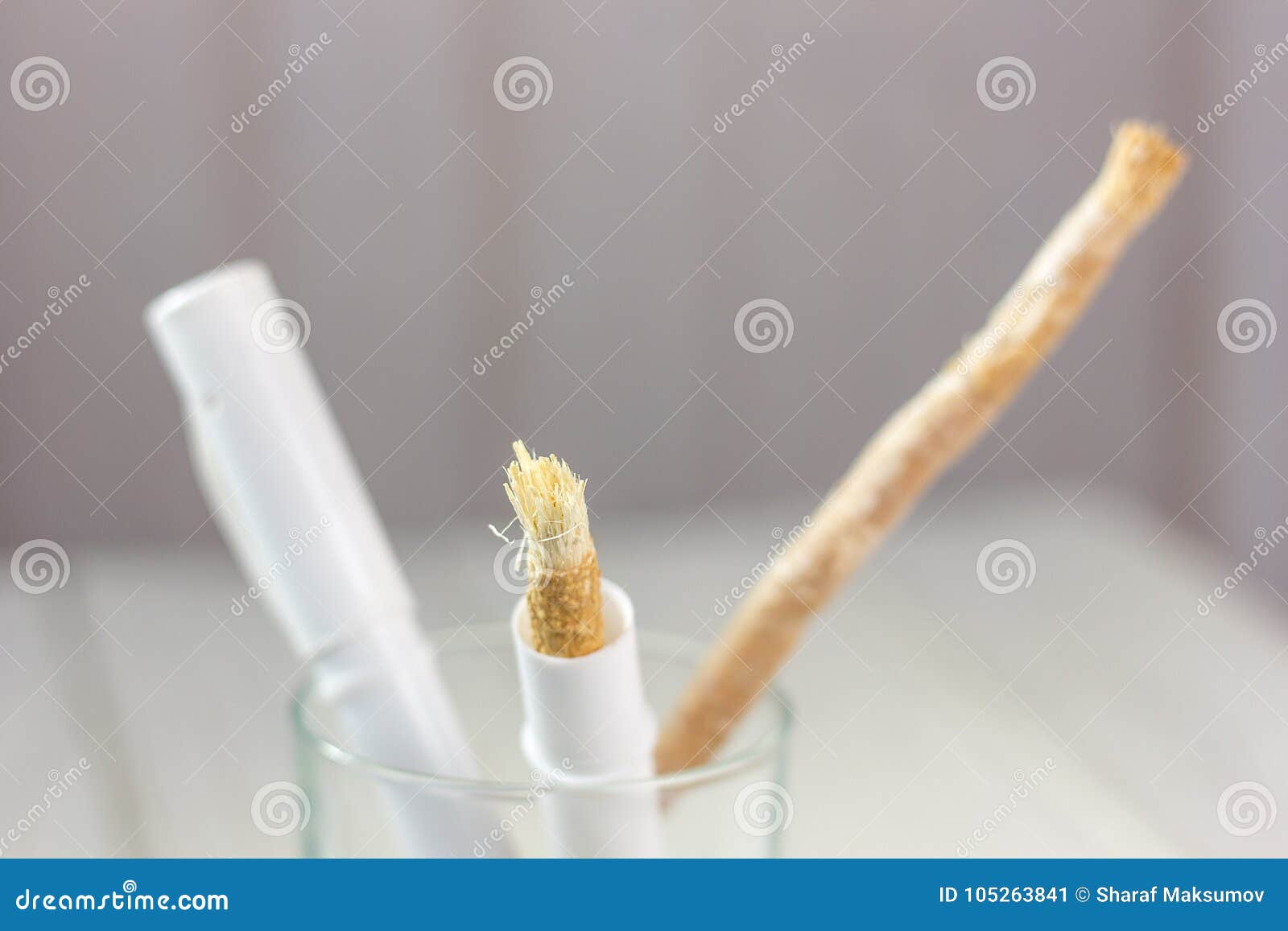 Miswak O Siwak - Spazzolino Da Denti Arabo Per Pulizia Del ...