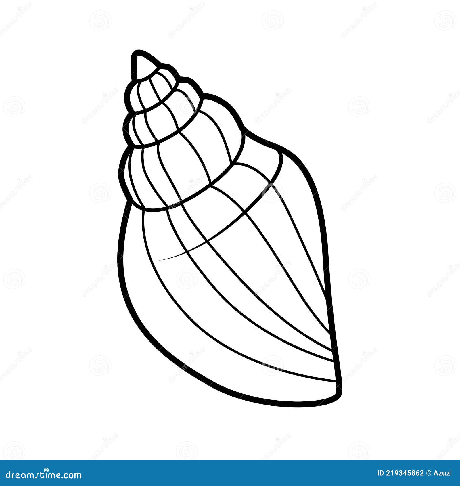 Cone Shell Stock Illustrations 835 Cone Shell Stock Illustrations Vectors Clipart Dreamstime