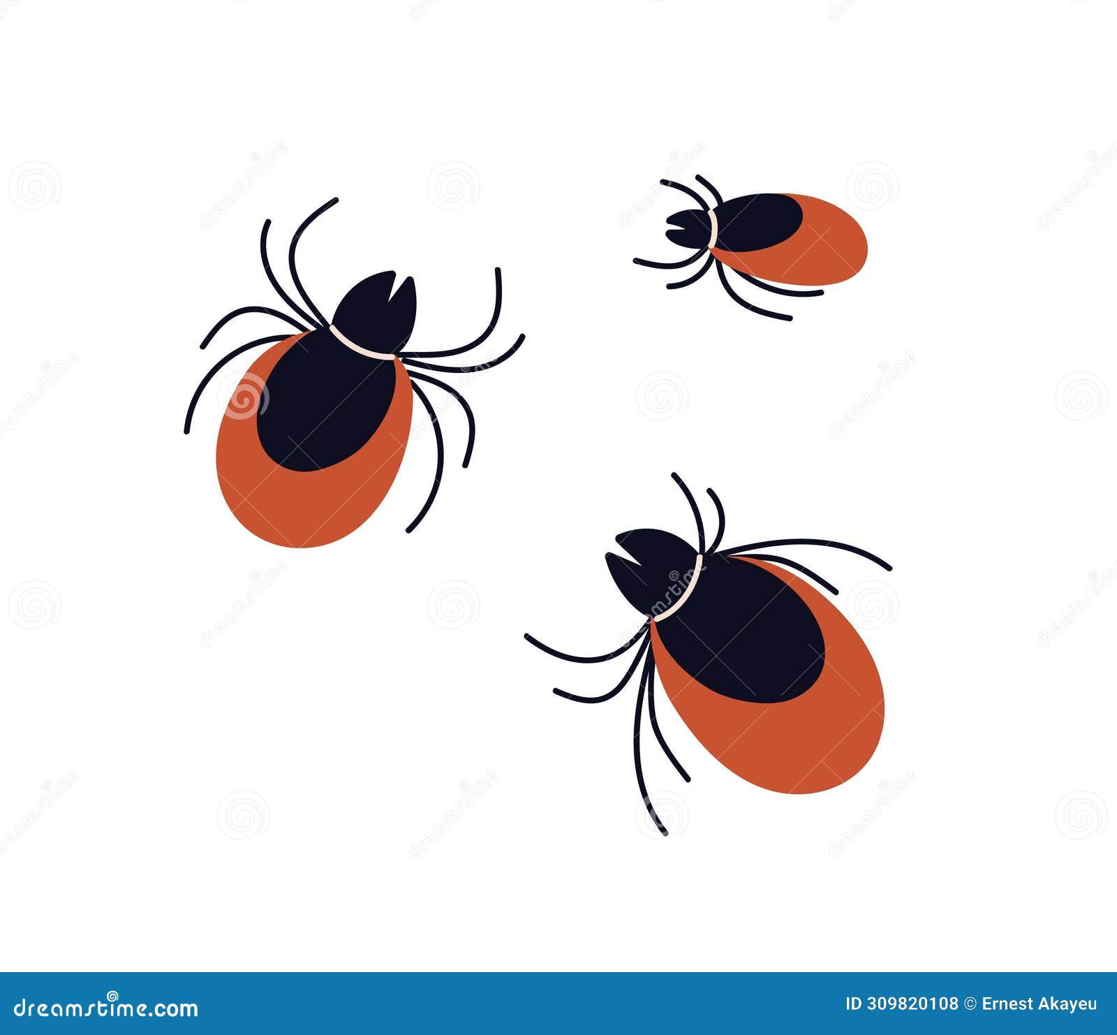 mites, parasite predatory insects. ticks, encephalitis bugs. acarus animals. acarids, epidemic dangerous little beetles