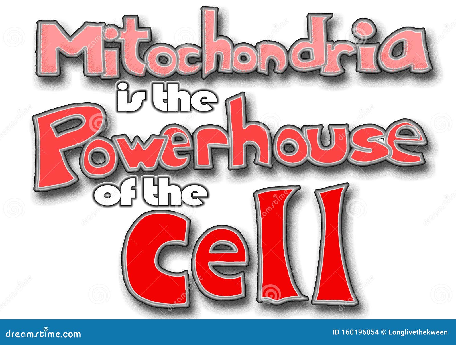 mitochondria is the power house of the cell