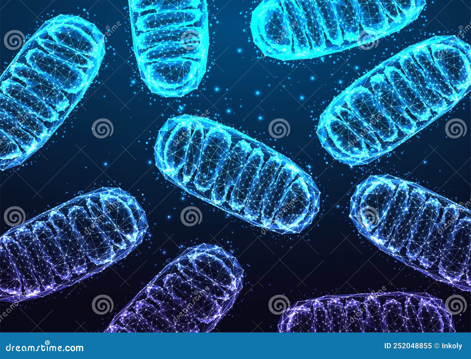 mitochondria under microscope on dark blue backgound in futuristic glowing low polygonal style.