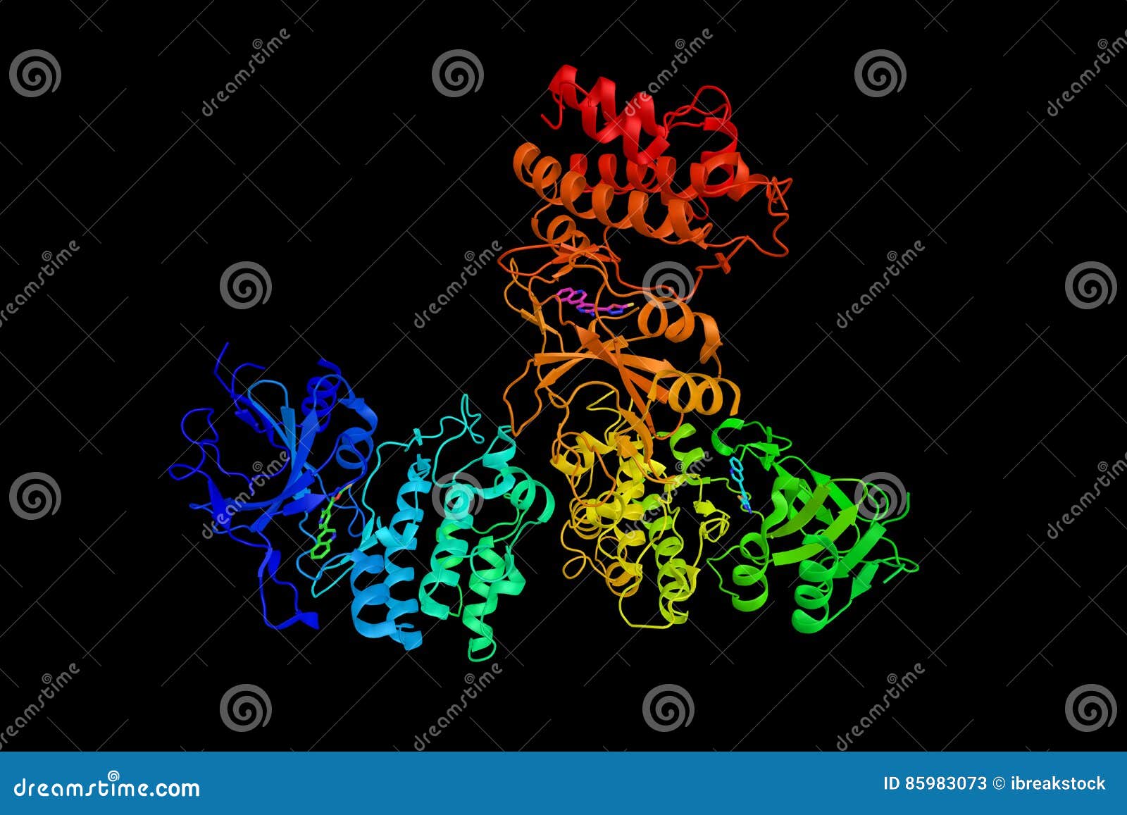 activated Protein Kinase Kinase Kinase 8, an Enzyme Which Can ... Biology Diagrams
