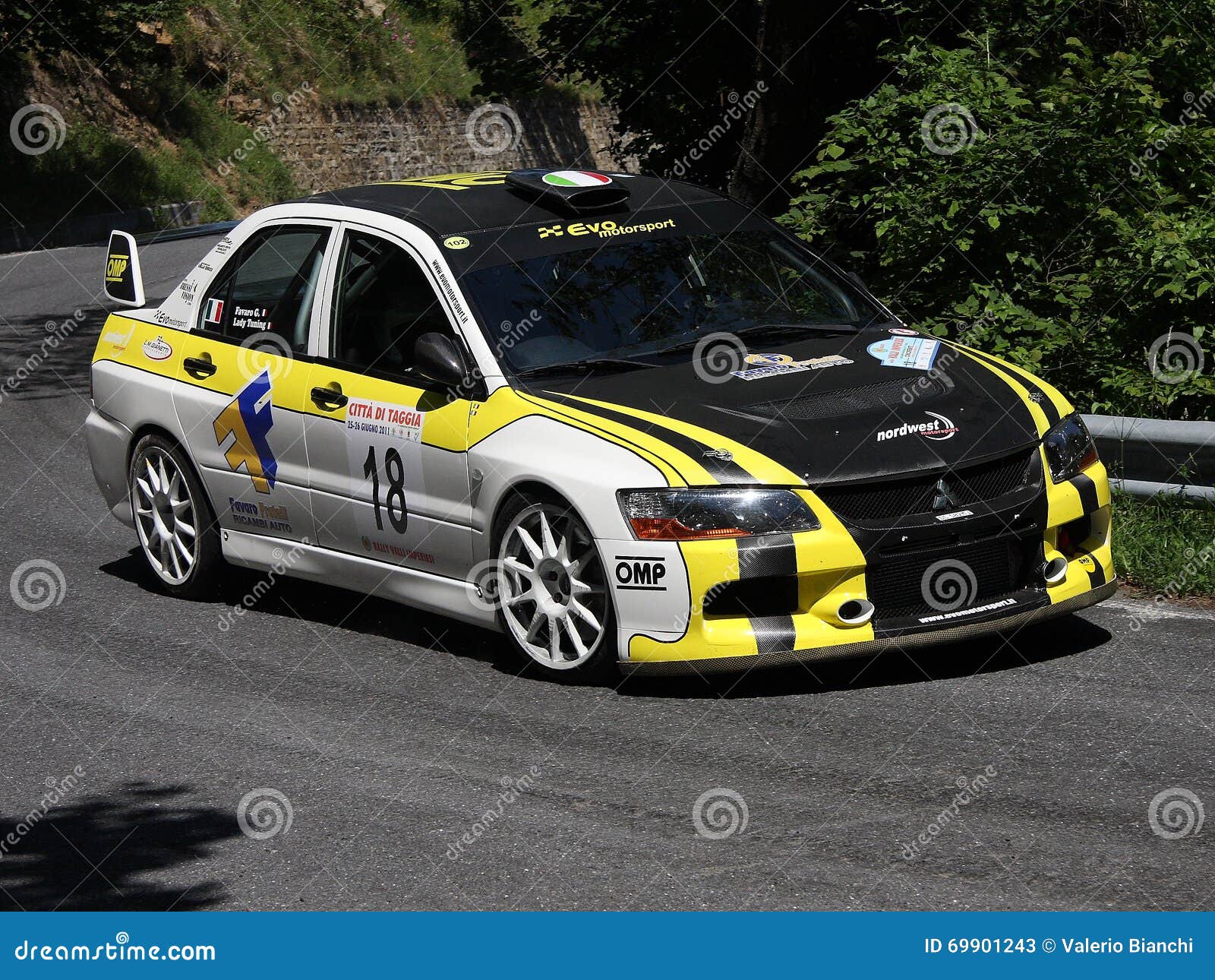 Mitsubishi Evo 9 Rc Rally Car Editorial Stock Photo - Image Of Prototype,  Championship: 69901243