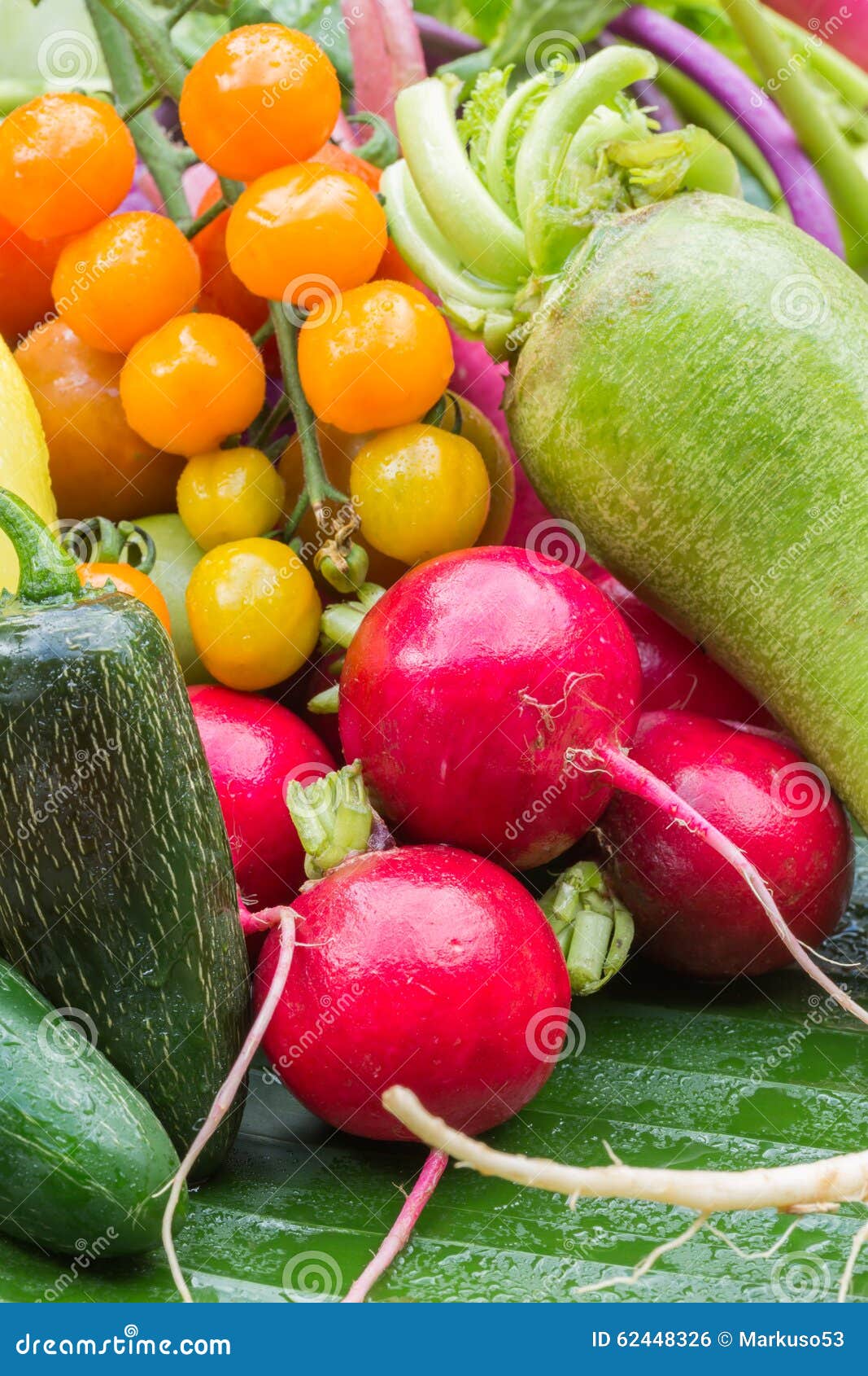 Mix colorful vegetables stock photo. Image of beetroot 62448326