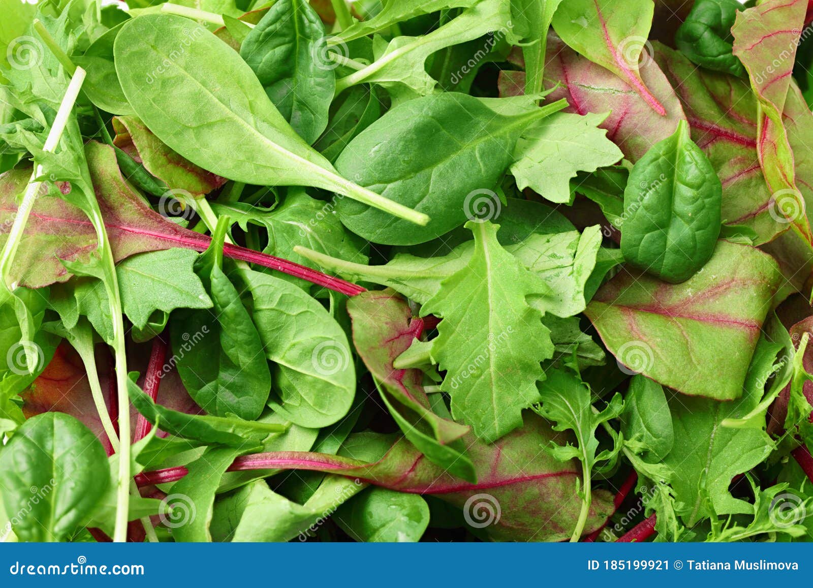 Mix of Different Salads Background. Salad Texture Stock Image Image
