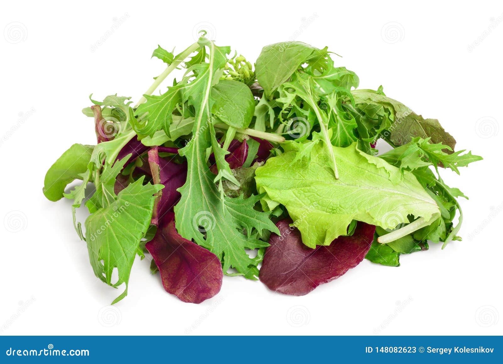 Mix of Different Salads Isolated on White Background Stock Image