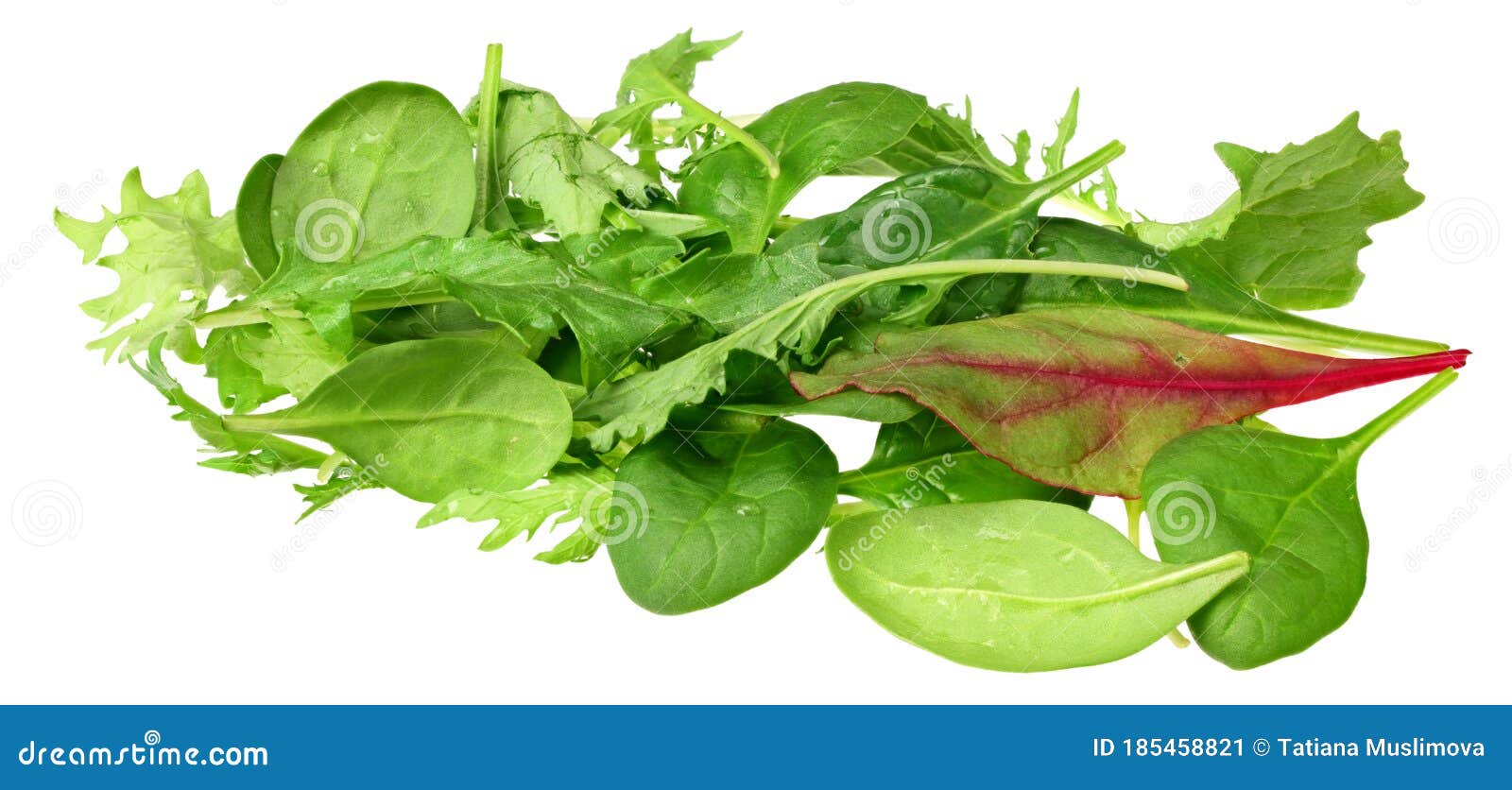 Mix of Different Salads Isolated on White Background Stock Image