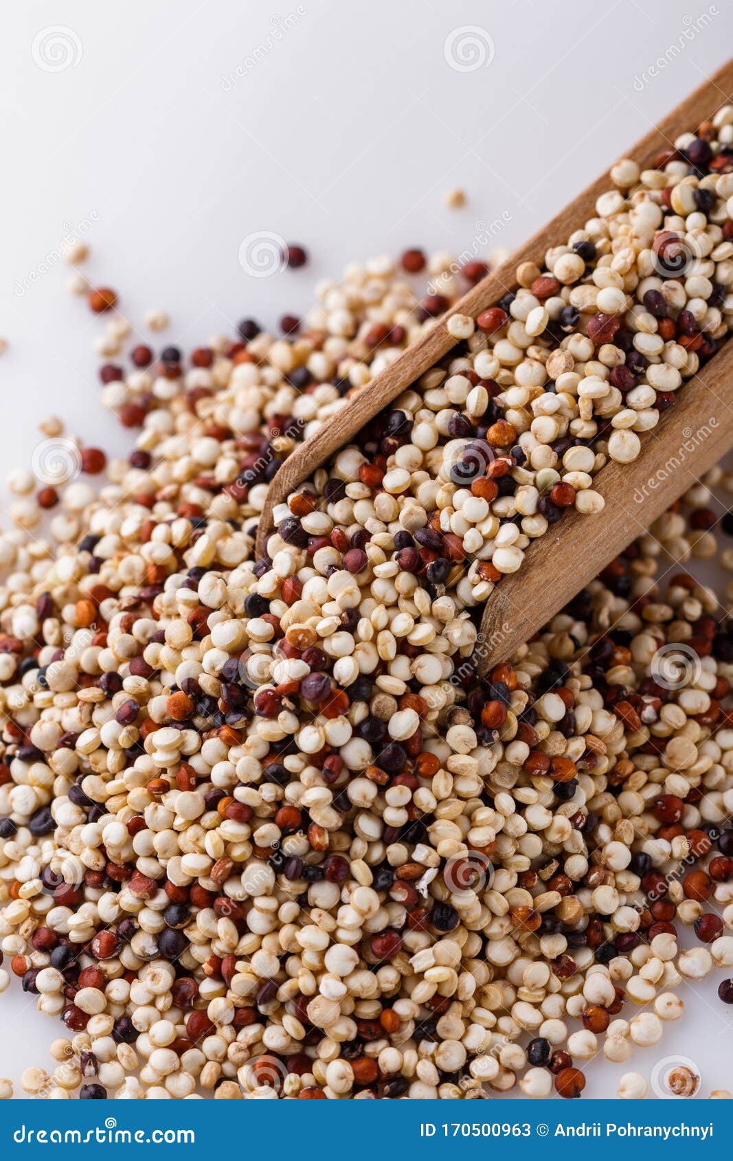 Mix of Quinoa Grains on White Acrylic Background Stock Image Image of