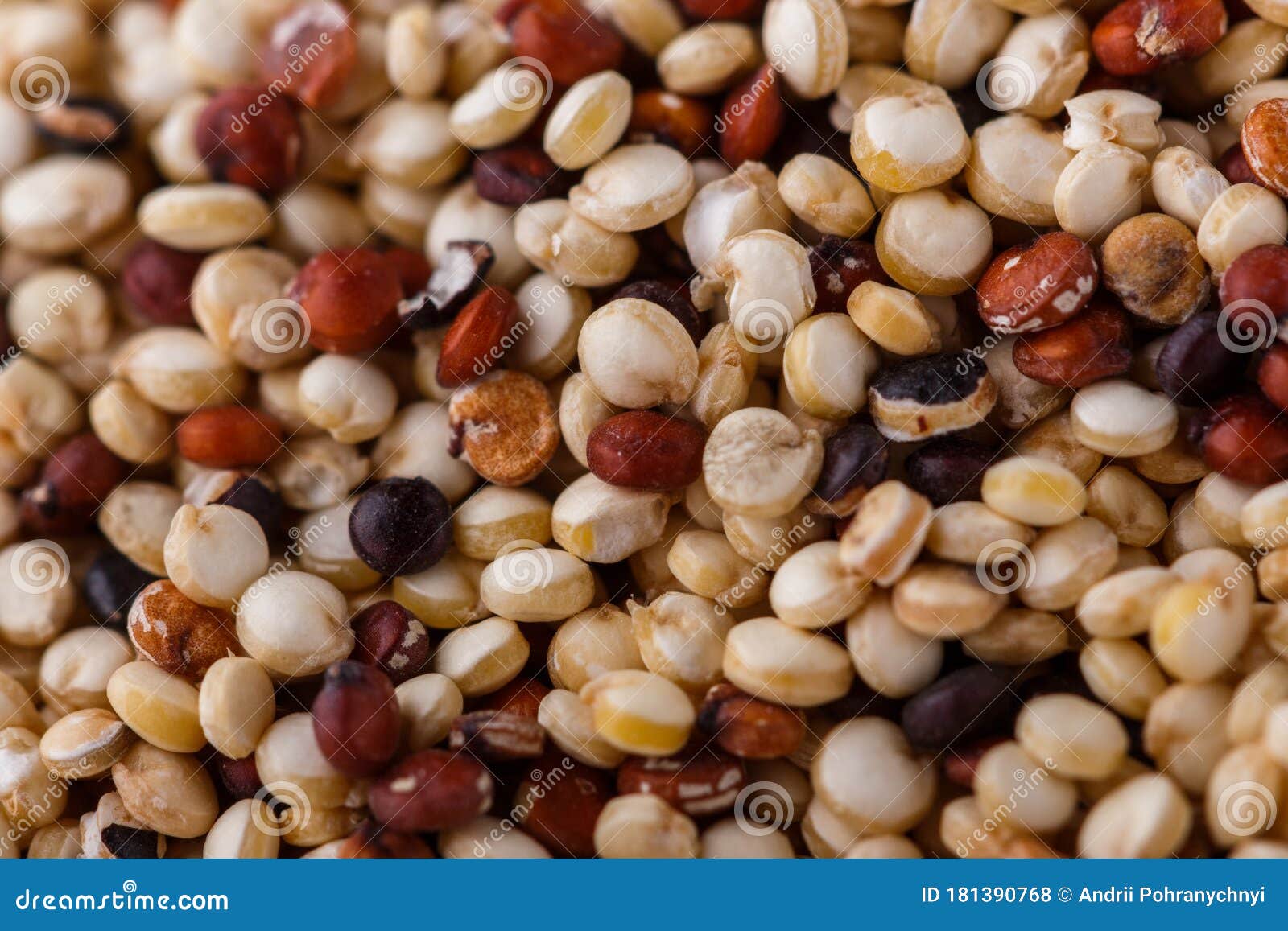 Mix of Quinoa Grains on White Acrylic Background Stock Photo Image of
