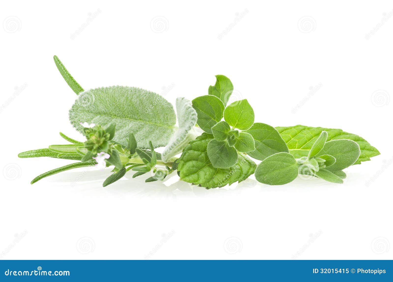 Mix of Spice leaves stock image. Image of tarragon, background 32015415