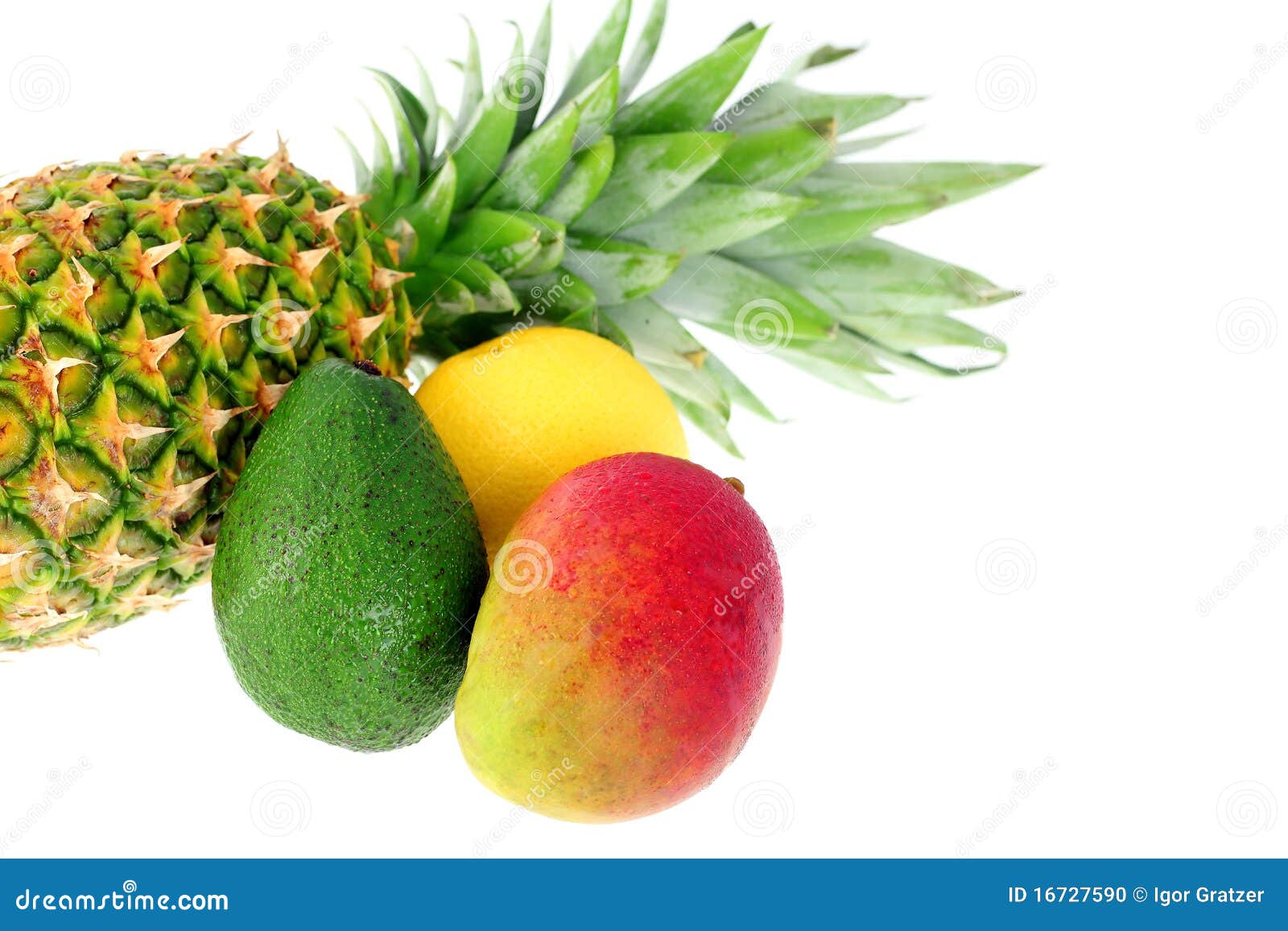 Mix Of Tropical Fruit And Vegetable Stock Photo Image 16727590